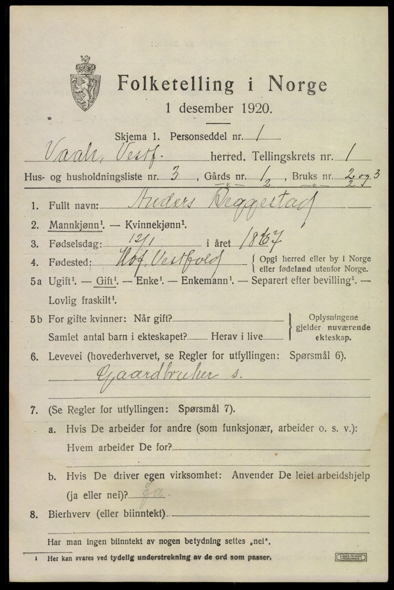 SAKO, 1920 census for Våle, 1920, p. 1100