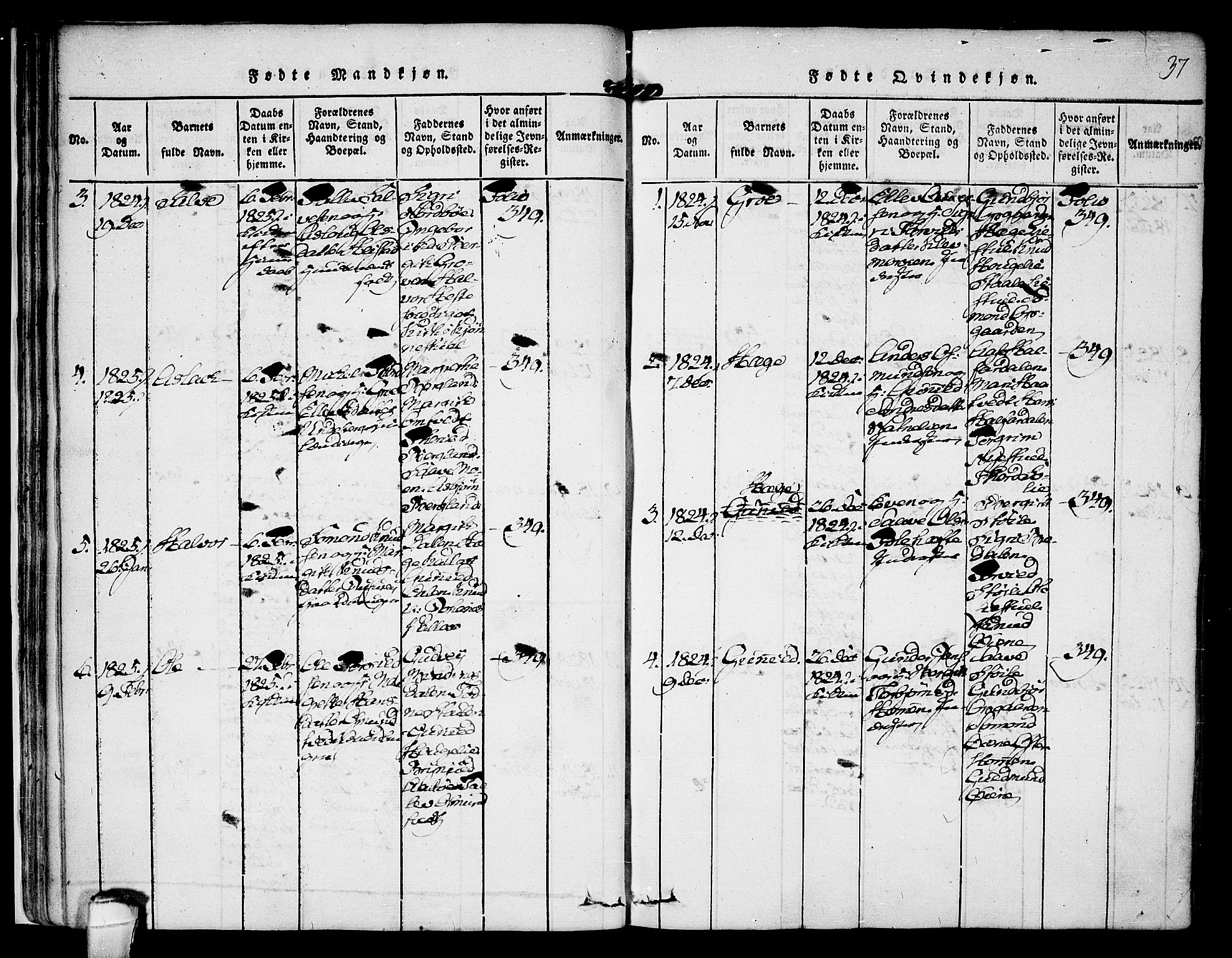 Kviteseid kirkebøker, SAKO/A-276/F/Fb/L0001: Parish register (official) no. II 1, 1815-1836, p. 37