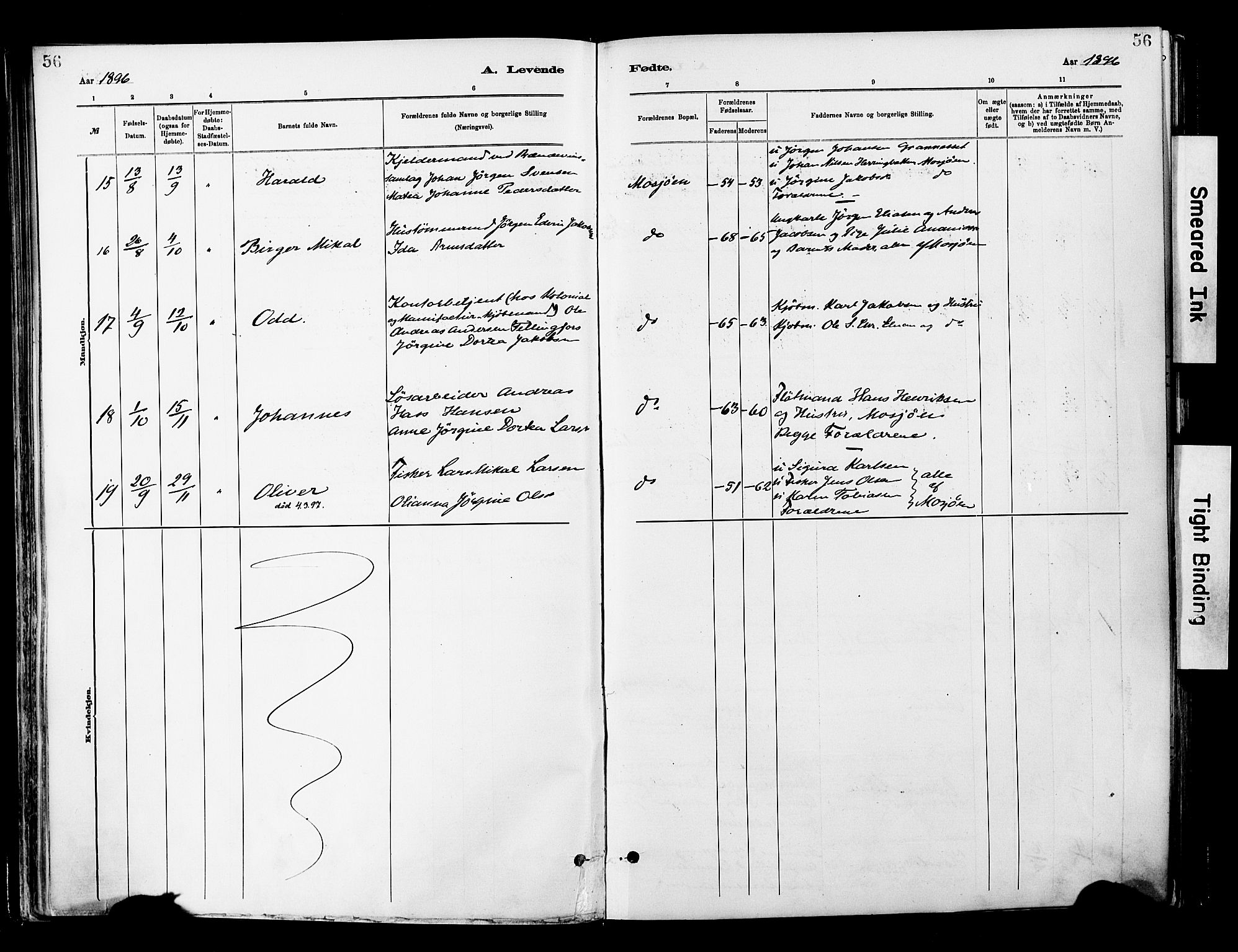 Ministerialprotokoller, klokkerbøker og fødselsregistre - Nordland, SAT/A-1459/820/L0296: Parish register (official) no. 820A17, 1880-1903, p. 56