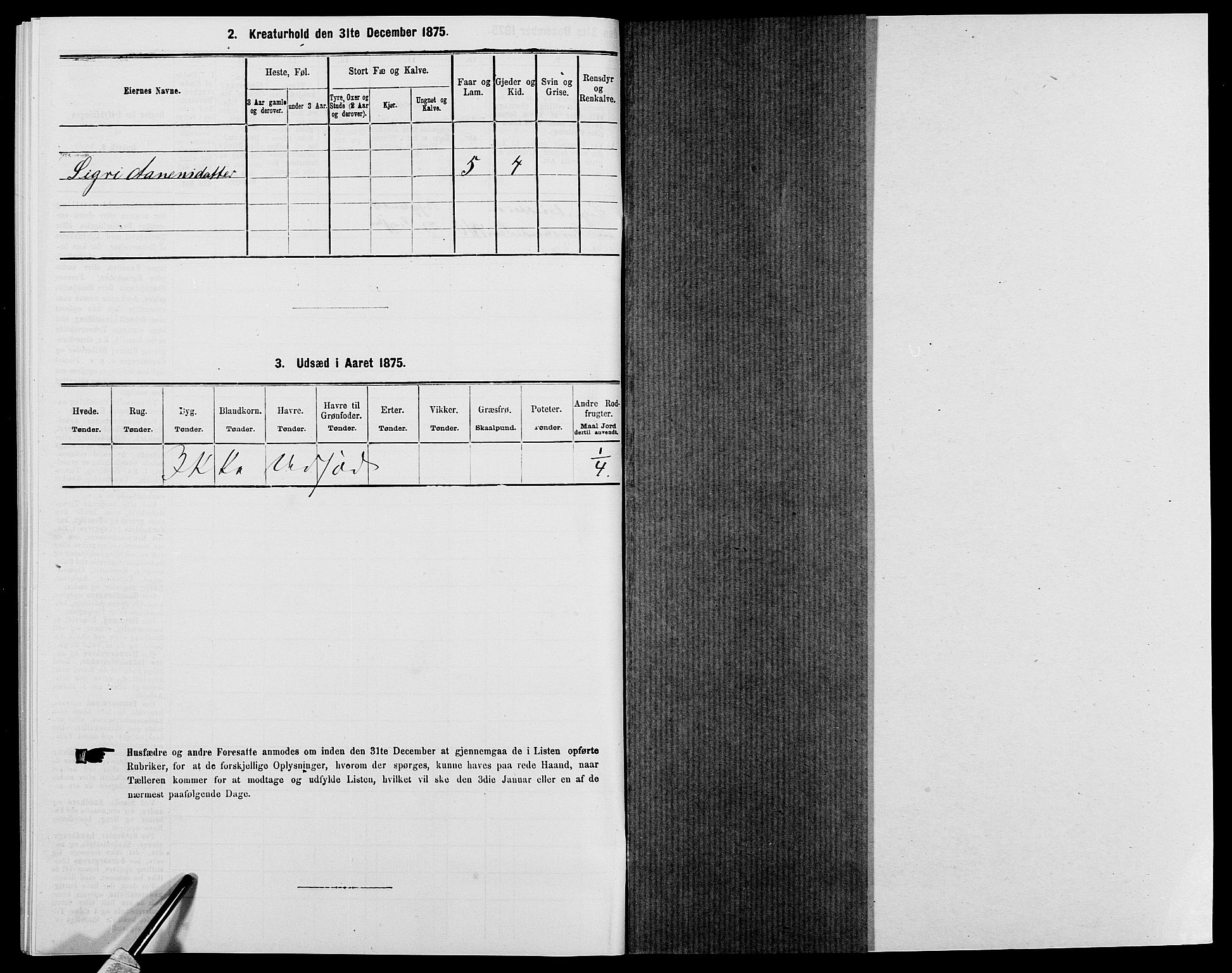 SAK, 1875 census for 0938P Bygland, 1875, p. 454