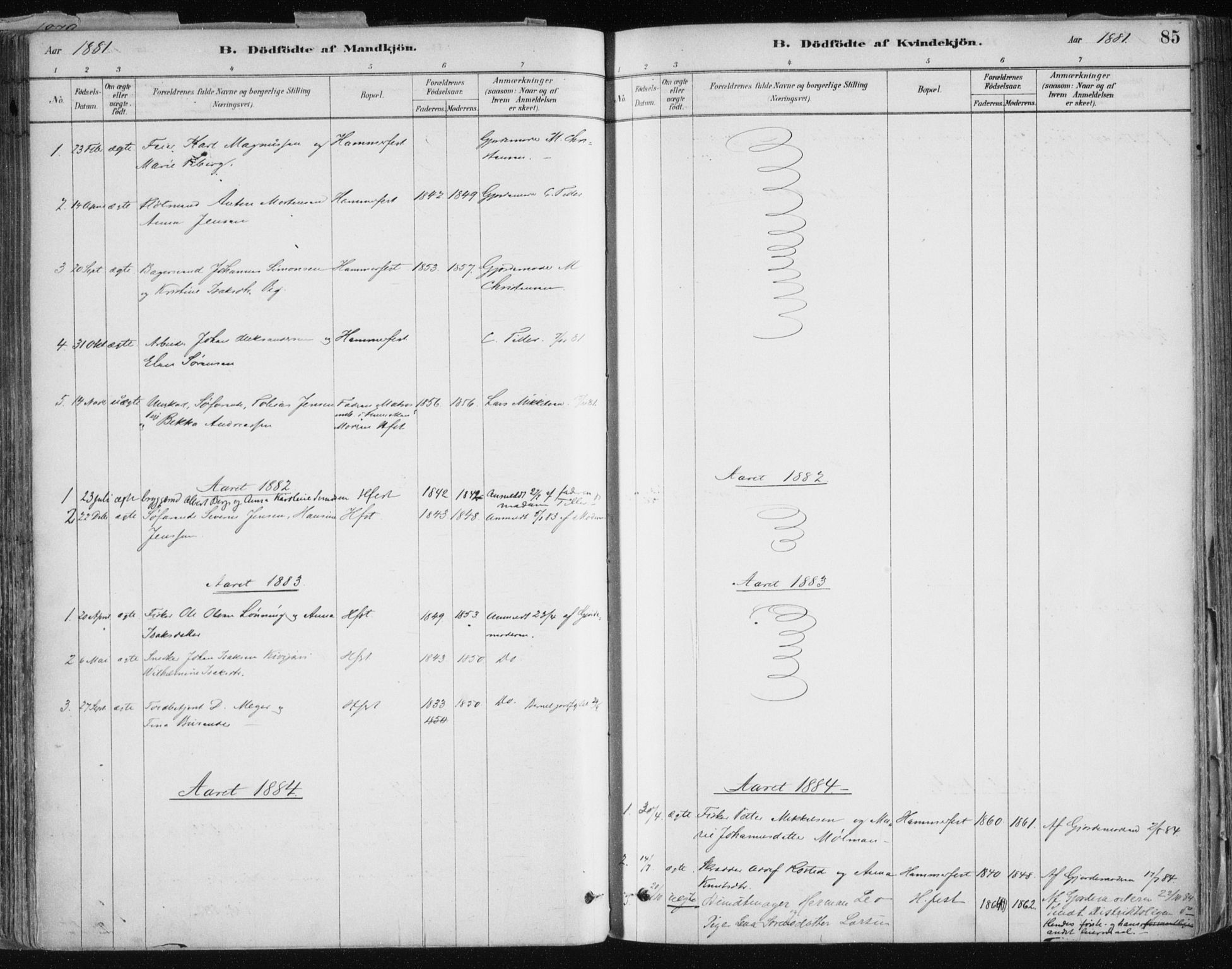 Hammerfest sokneprestkontor, SATØ/S-1347/H/Ha/L0008.kirke: Parish register (official) no. 8, 1878-1889, p. 85