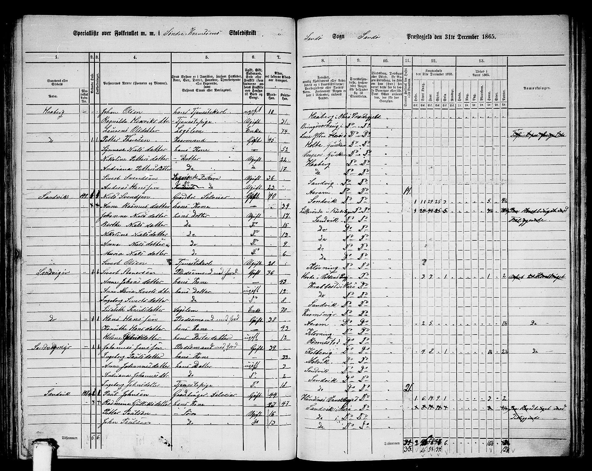 RA, 1865 census for Herøy, 1865, p. 144