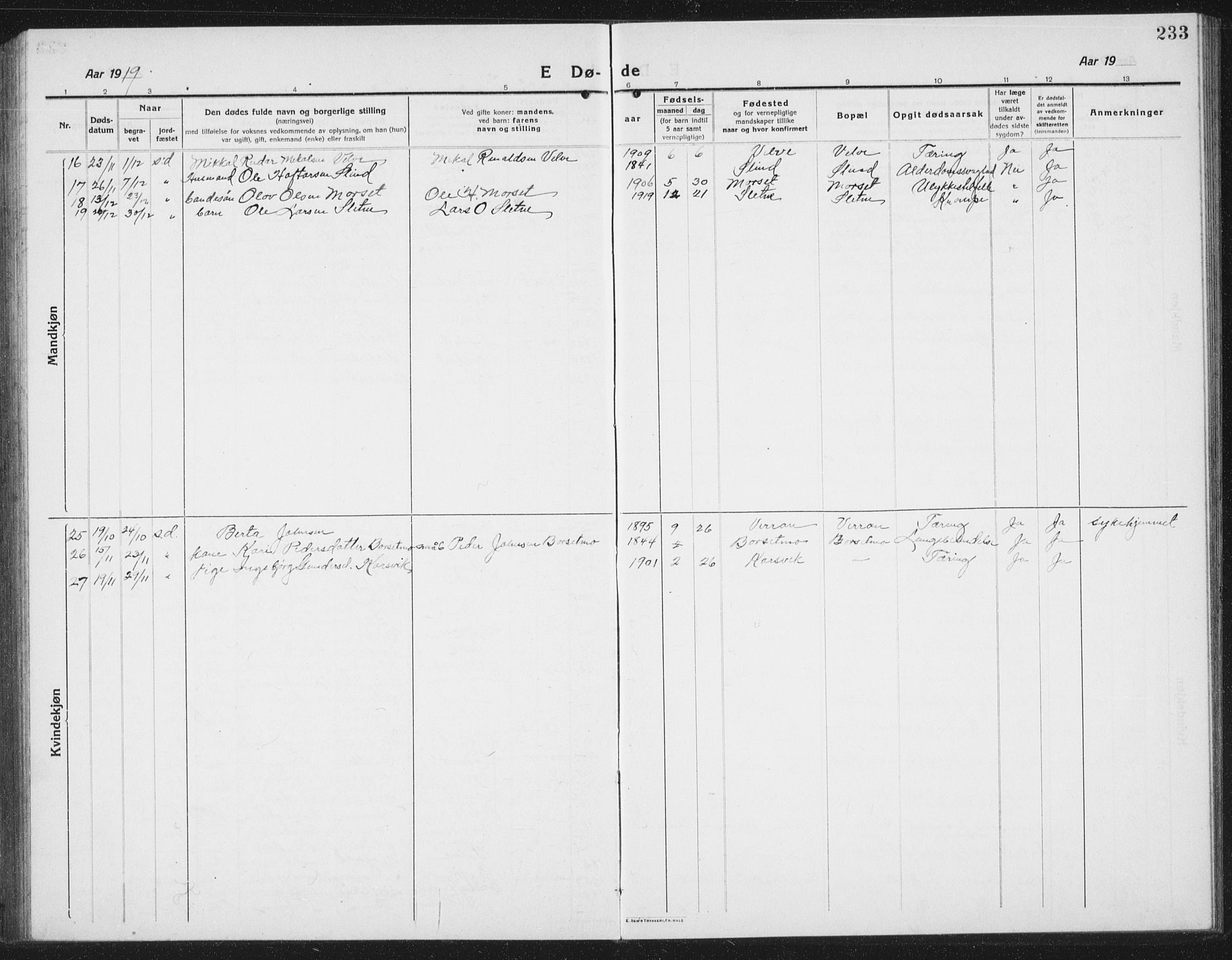 Ministerialprotokoller, klokkerbøker og fødselsregistre - Sør-Trøndelag, SAT/A-1456/695/L1158: Parish register (copy) no. 695C09, 1913-1940, p. 233