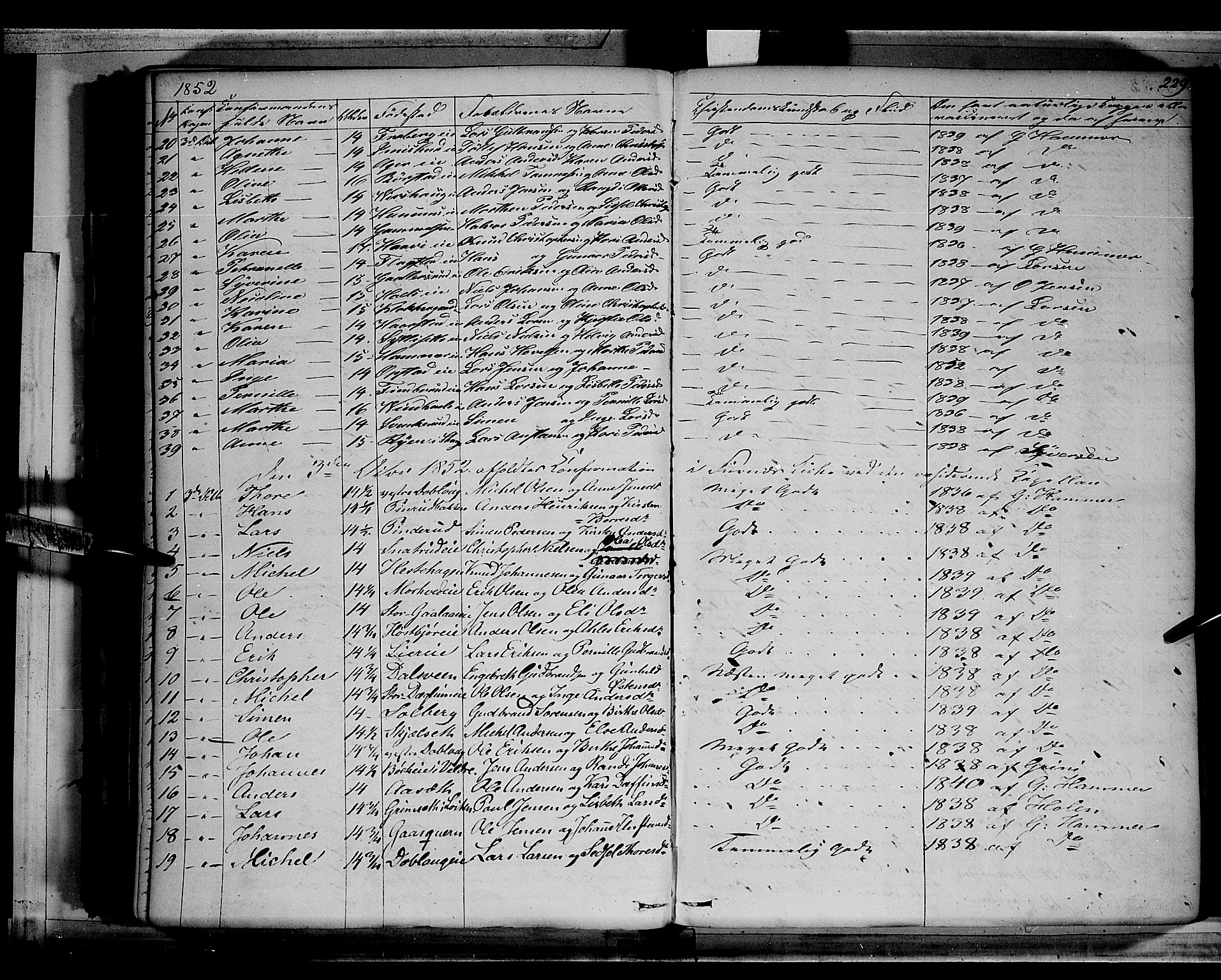 Vang prestekontor, Hedmark, AV/SAH-PREST-008/H/Ha/Haa/L0010: Parish register (official) no. 10, 1841-1855, p. 229