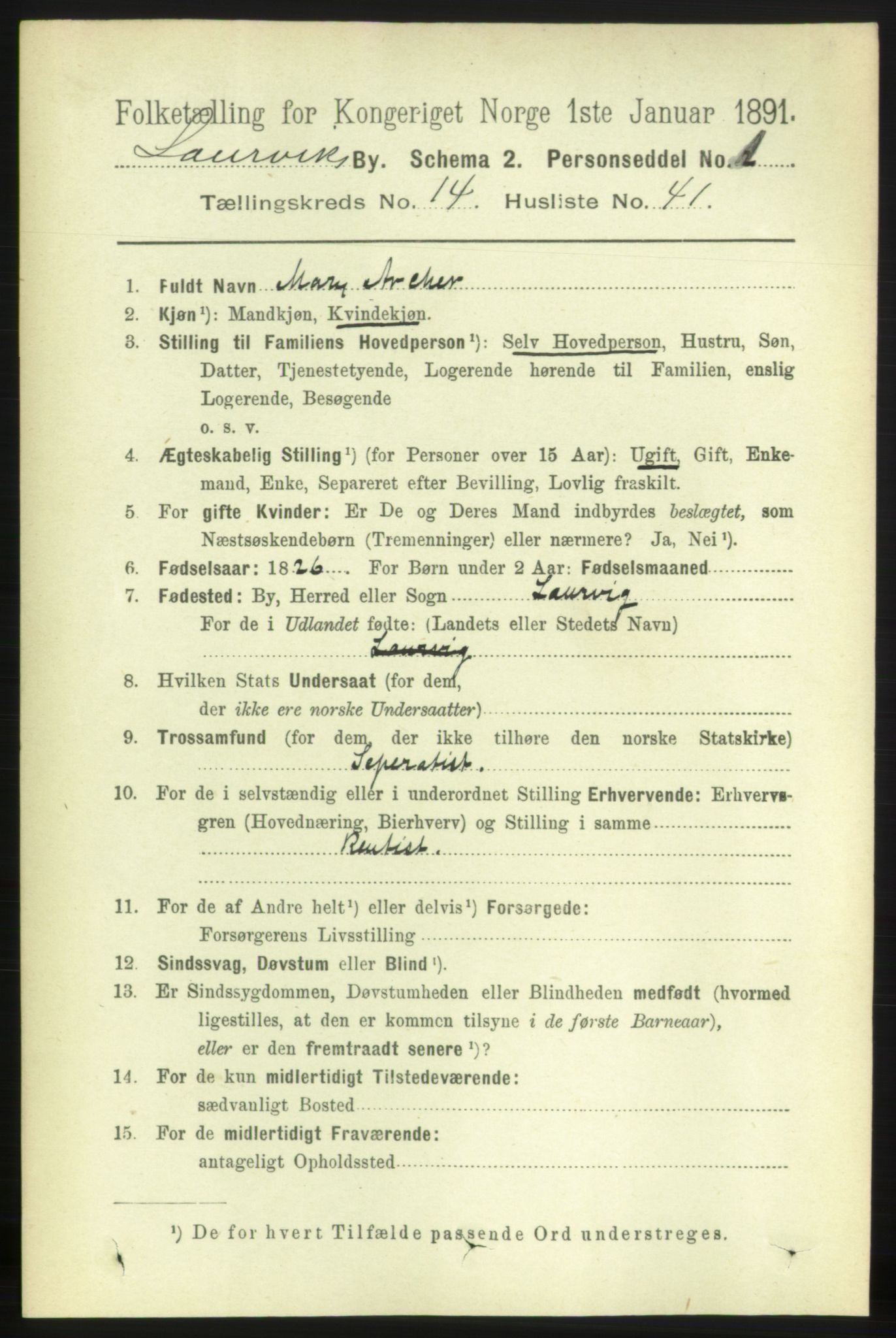 RA, 1891 census for 0707 Larvik, 1891, p. 11304