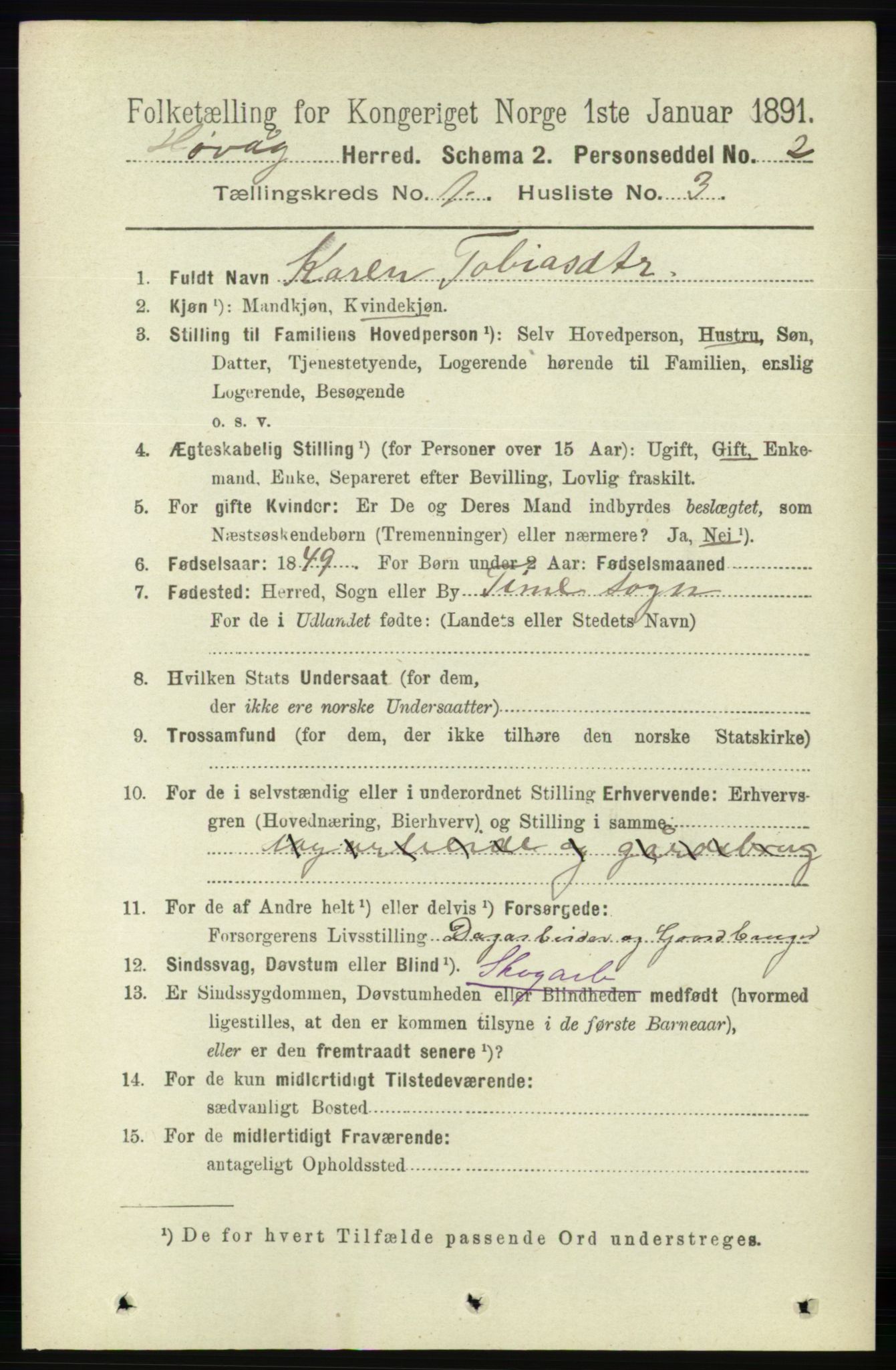 RA, 1891 census for 0927 Høvåg, 1891, p. 98