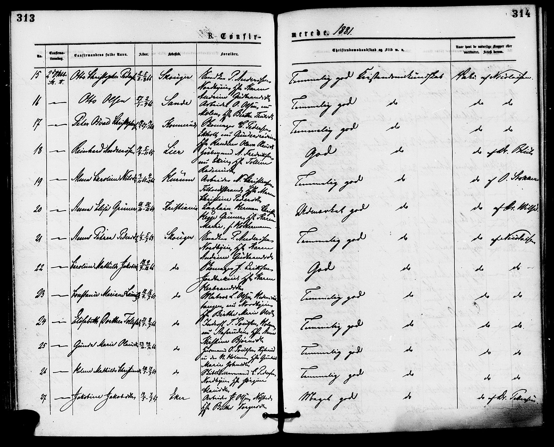 Skoger kirkebøker, AV/SAKO-A-59/F/Fa/L0005: Parish register (official) no. I 5, 1873-1884, p. 313-314