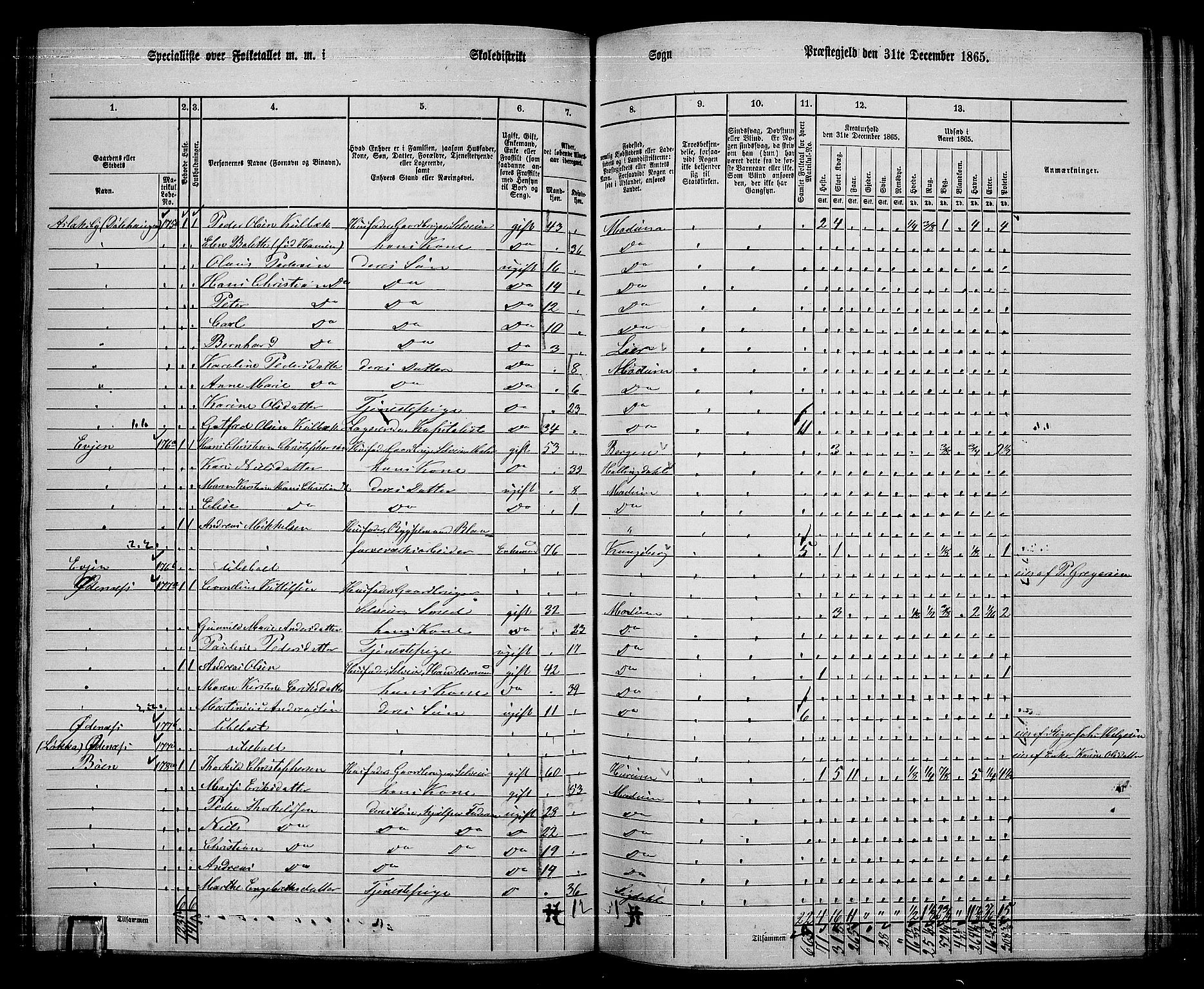 RA, 1865 census for Modum, 1865, p. 209