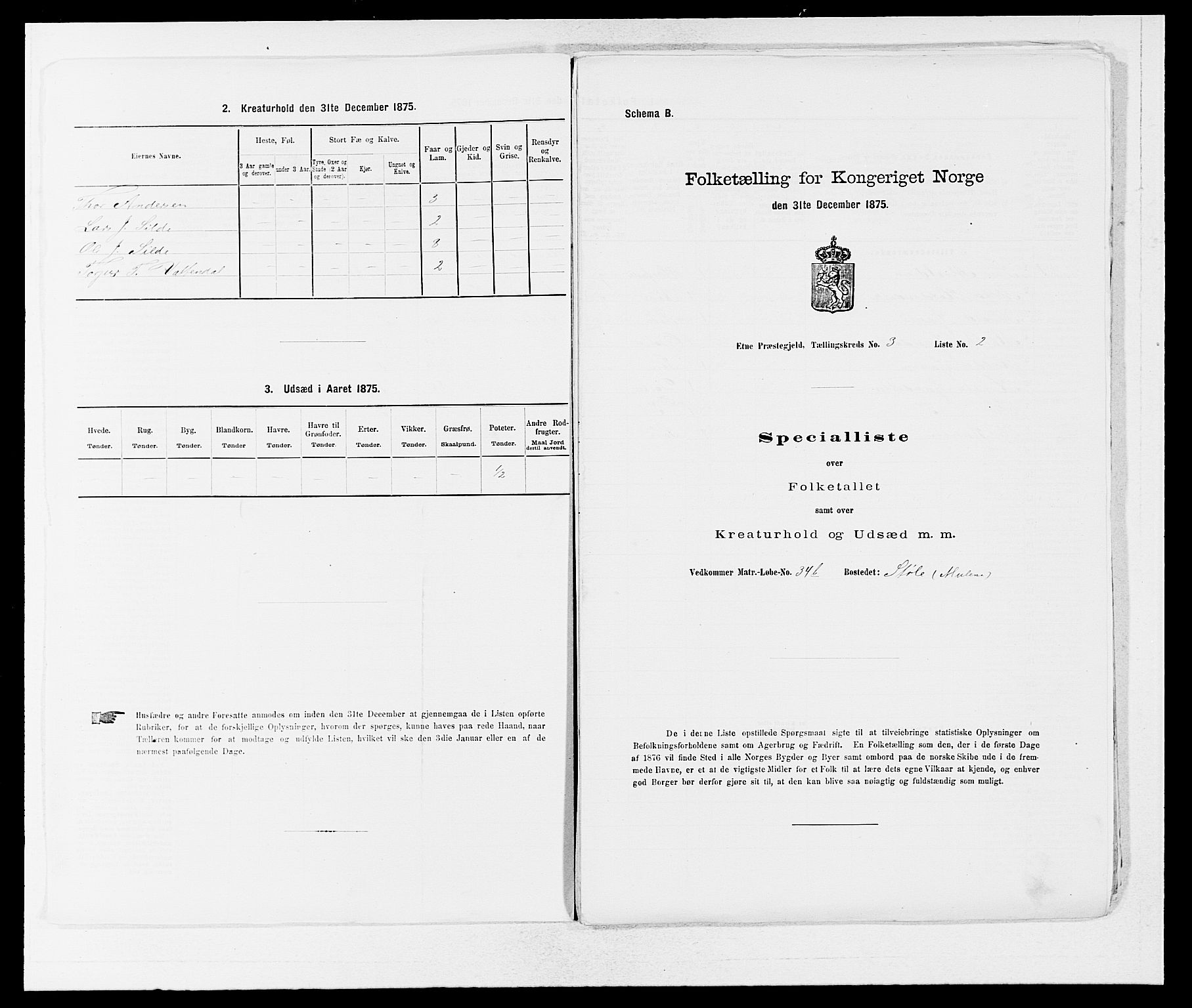 SAB, 1875 census for 1211P Etne, 1875, p. 199