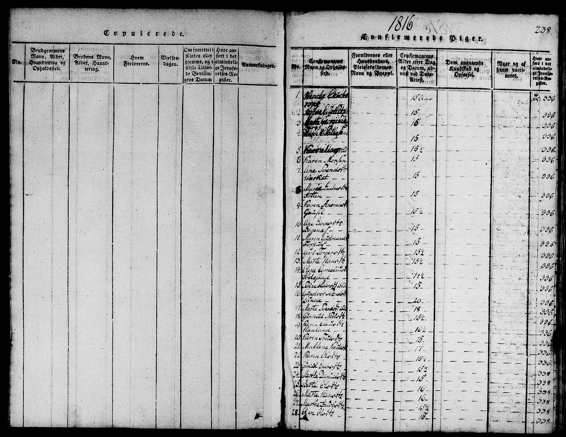 Domkirken sokneprestkontor, SAST/A-101812/001/30/30BA/L0008: Parish register (official) no. A 8, 1816-1821, p. 238