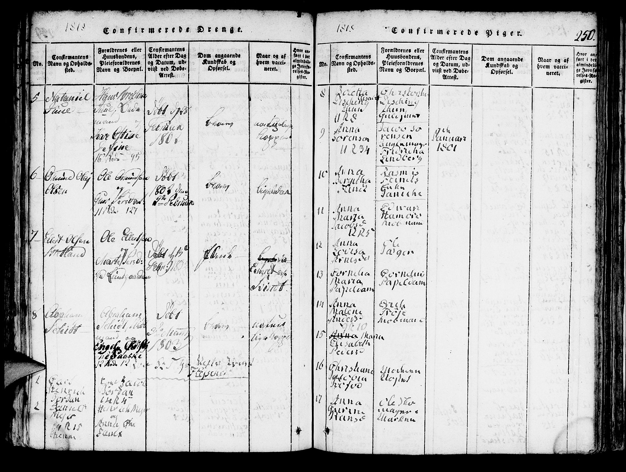 Domkirken sokneprestembete, AV/SAB-A-74801/H/Hab/L0001: Parish register (copy) no. A 1, 1816-1821, p. 250