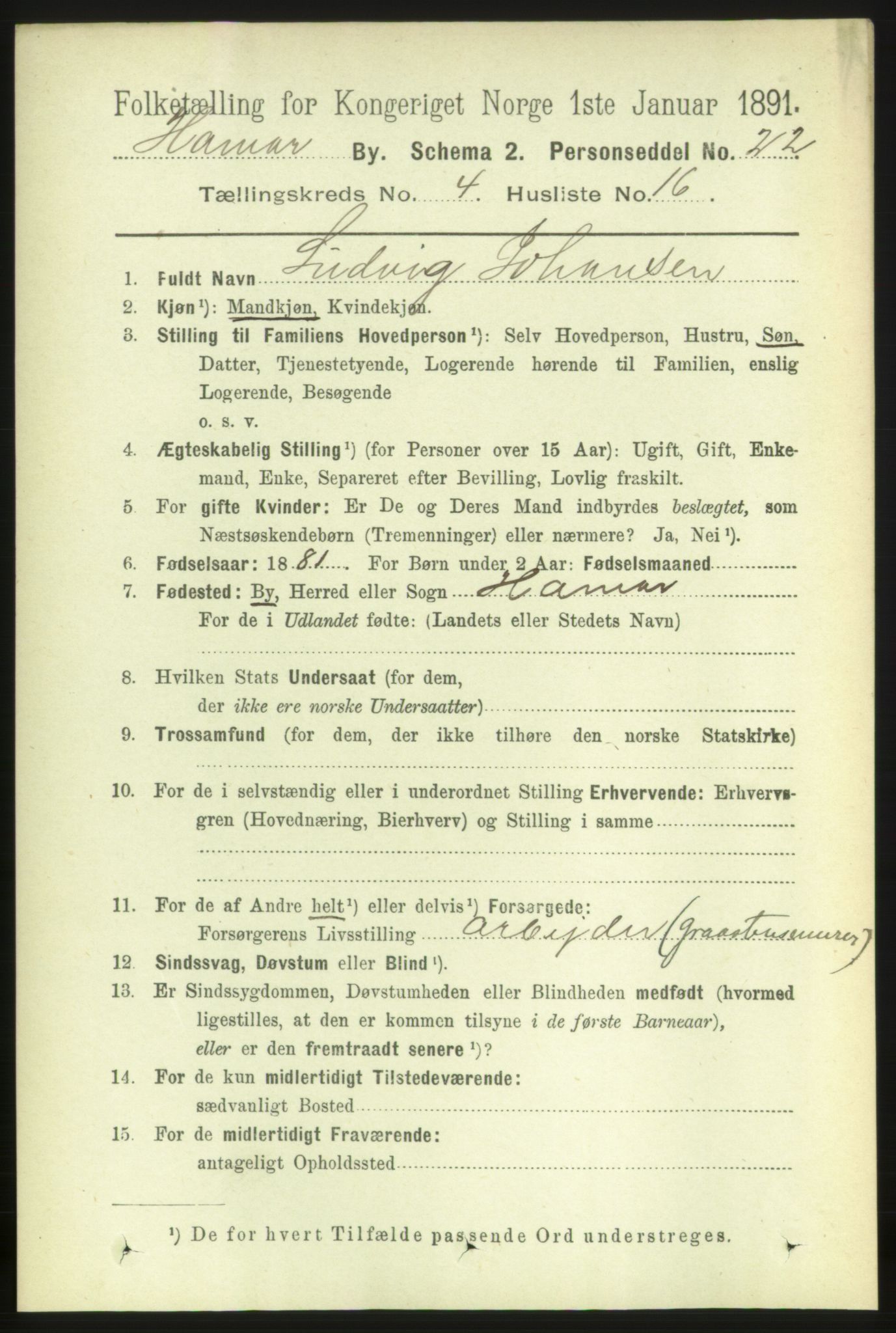 RA, 1891 census for 0401 Hamar, 1891, p. 3094