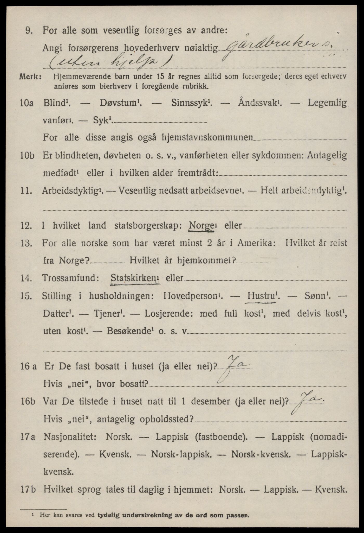 SAT, 1920 census for Selbu, 1920, p. 4417