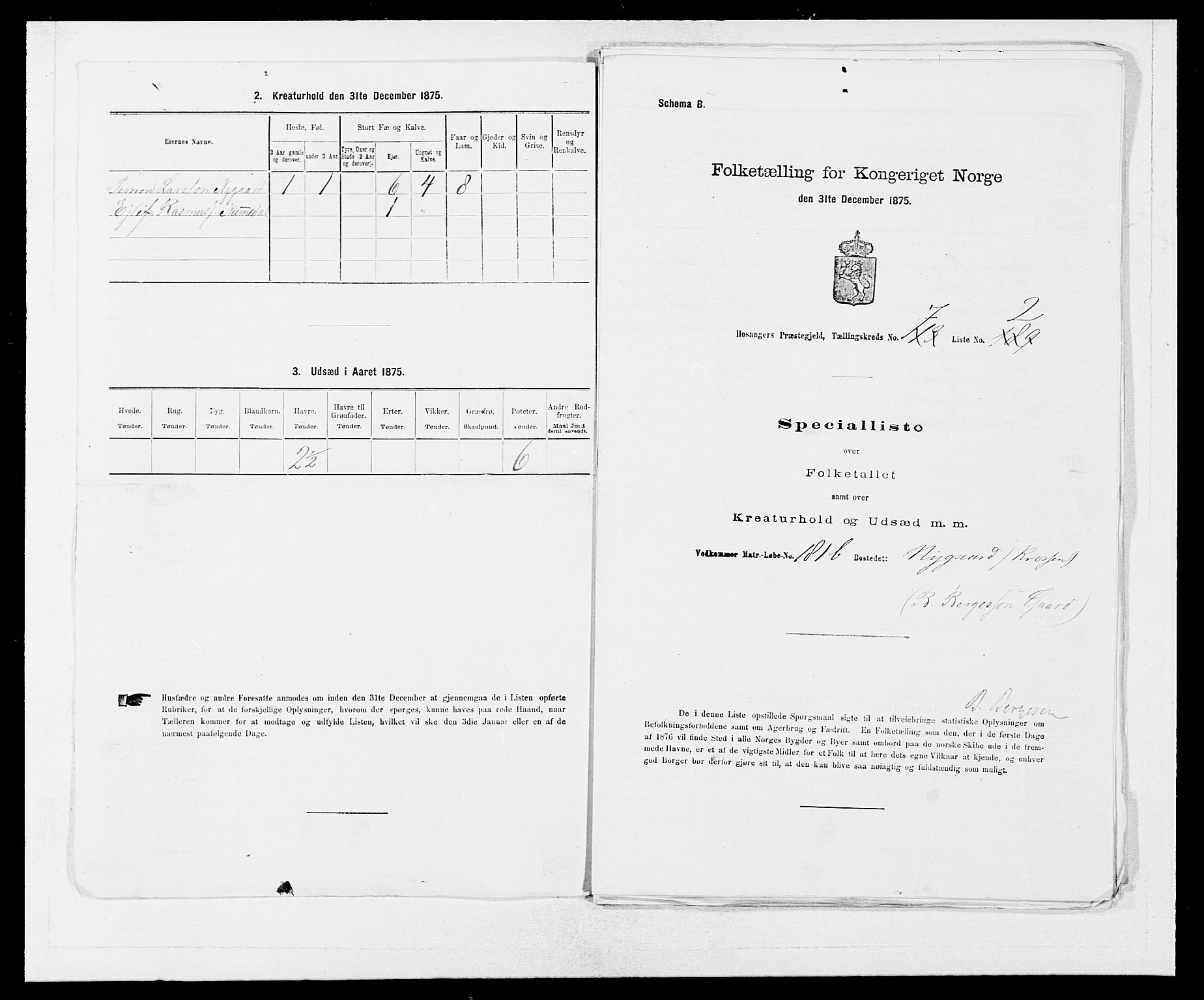 SAB, 1875 census for 1253P Hosanger, 1875, p. 563