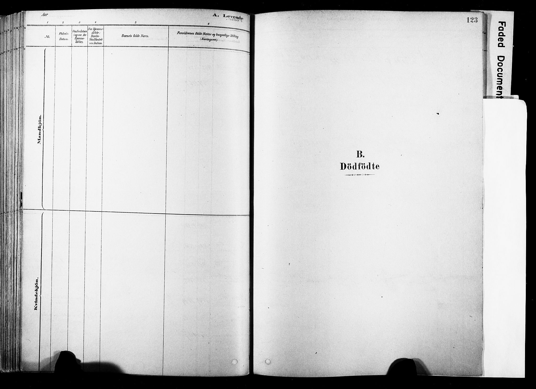 Strømsø kirkebøker, SAKO/A-246/F/Fb/L0006: Parish register (official) no. II 6, 1879-1910, p. 123
