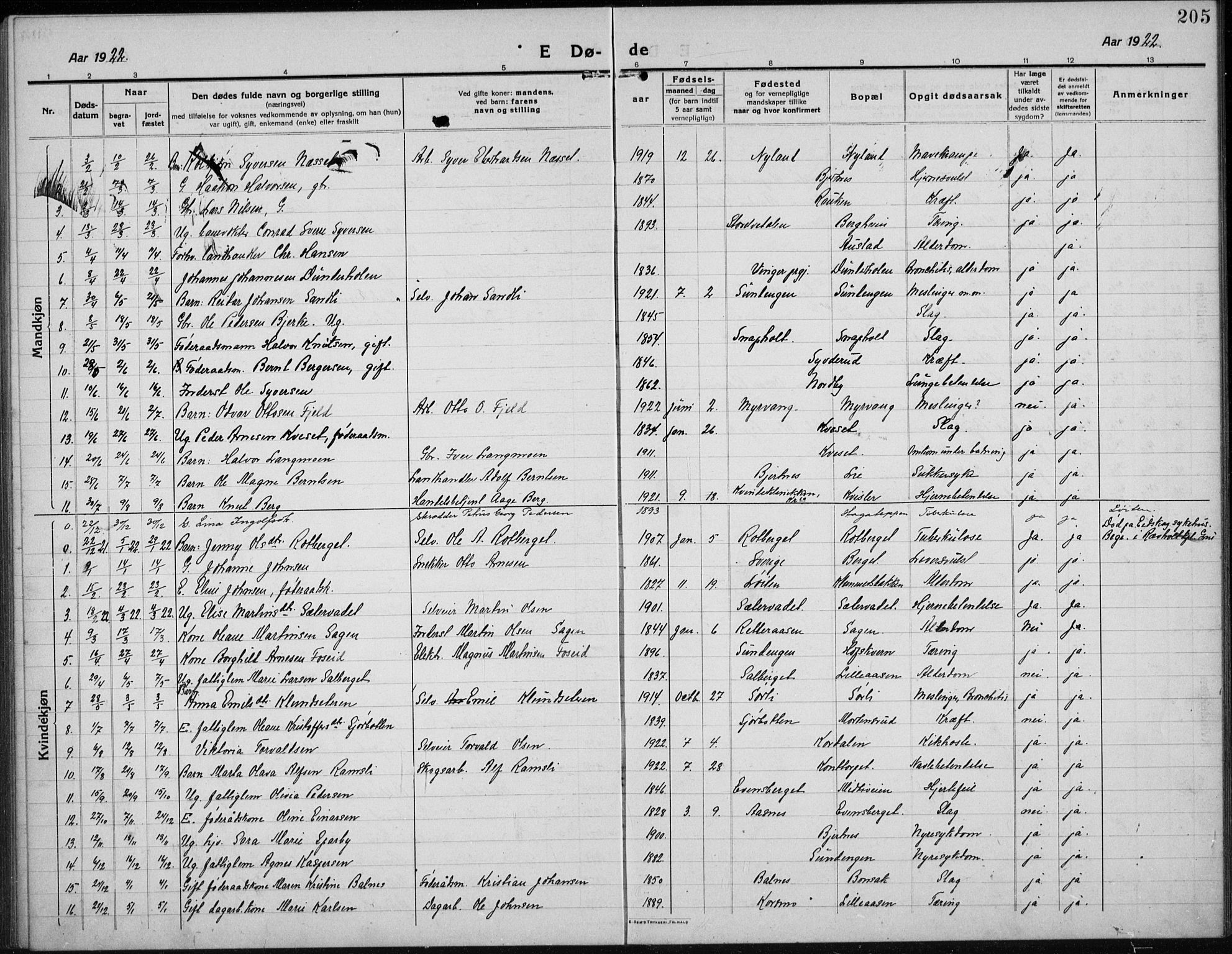 Hof prestekontor, SAH/PREST-038/H/Ha/Hab/L0002: Parish register (copy) no. 2, 1915-1934, p. 205