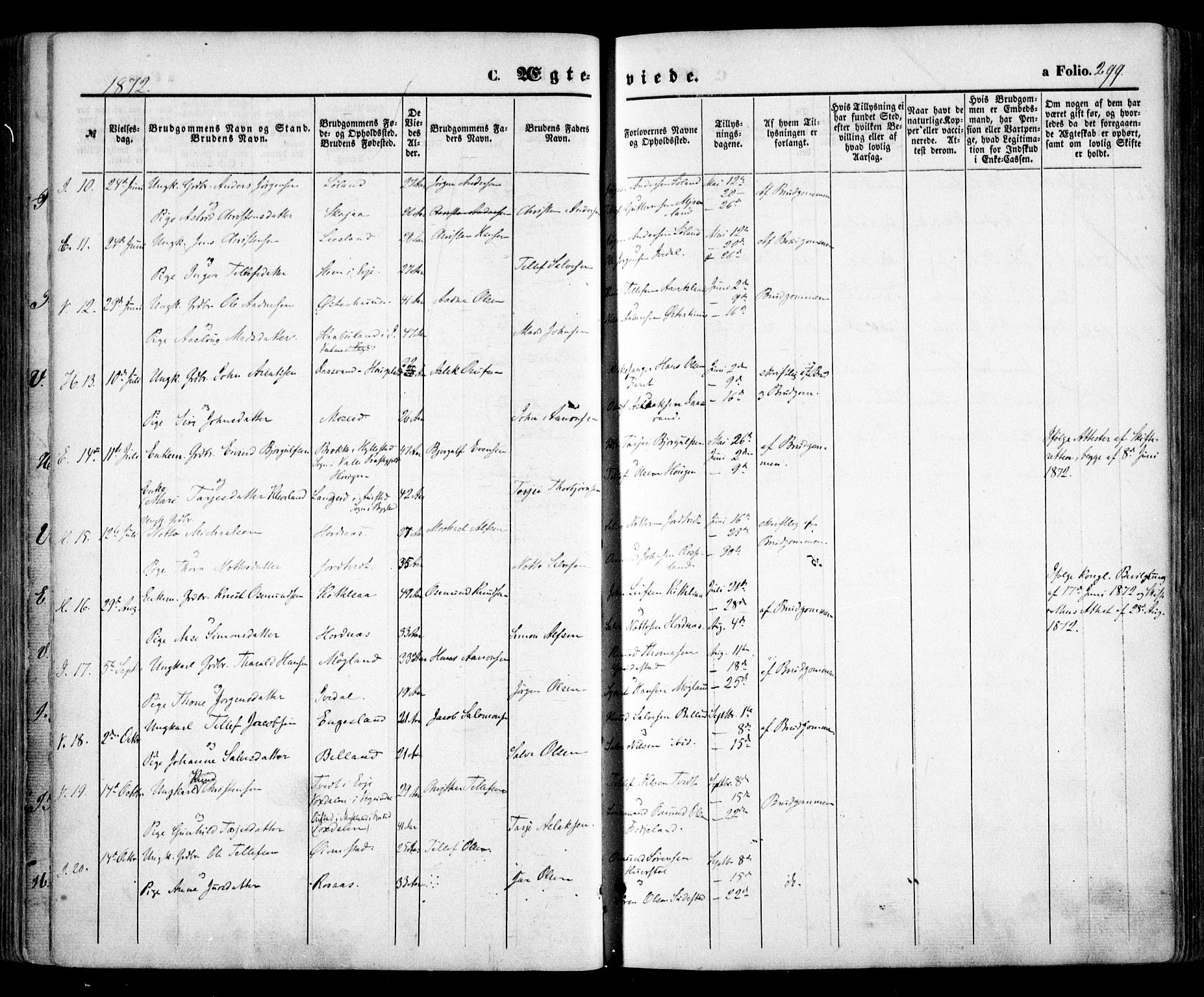 Evje sokneprestkontor, SAK/1111-0008/F/Fa/Faa/L0006: Parish register (official) no. A 6, 1866-1884, p. 299