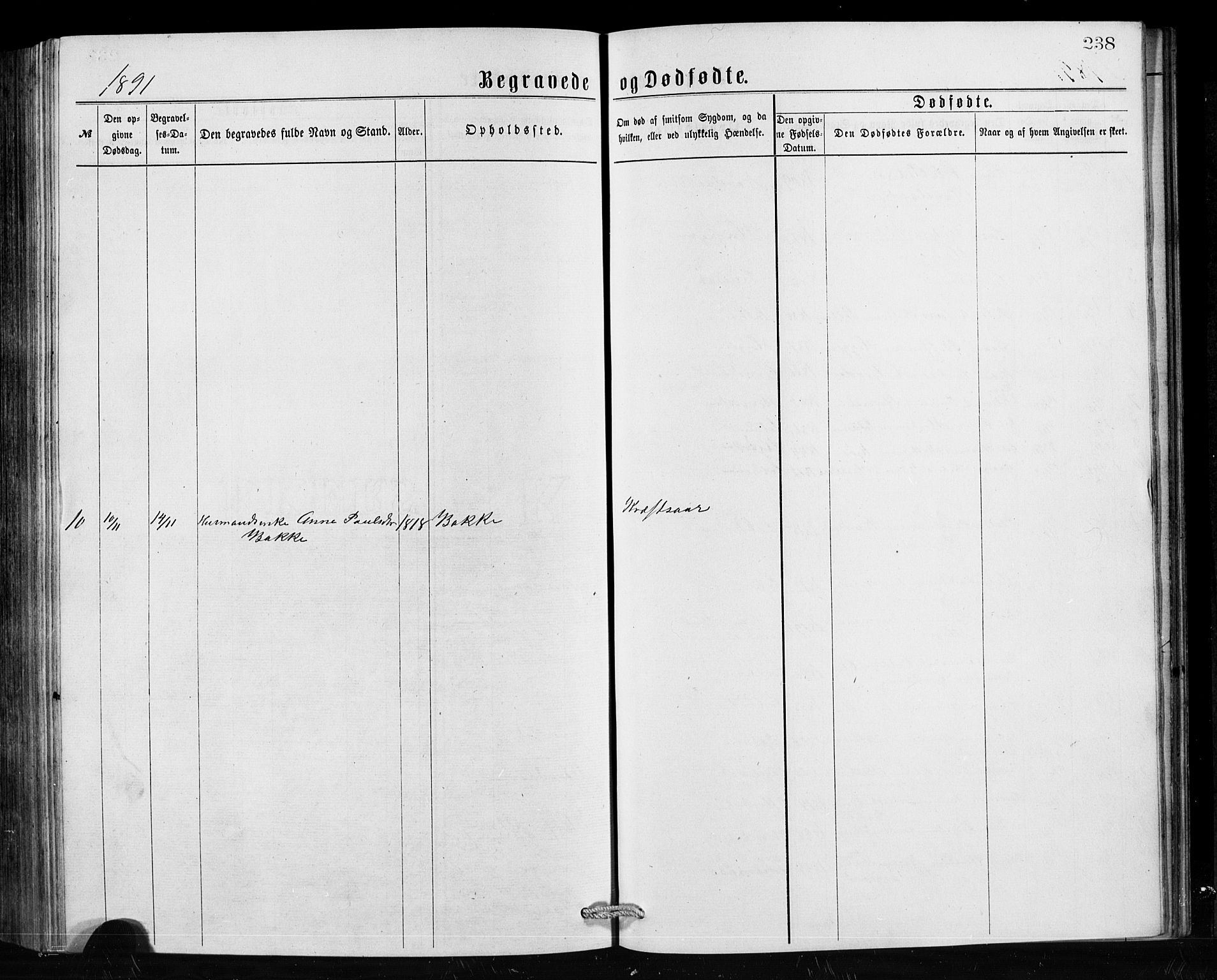 Hornindal sokneprestembete, SAB/A-82401/H/Hab: Parish register (copy) no. A 1, 1876-1894, p. 238