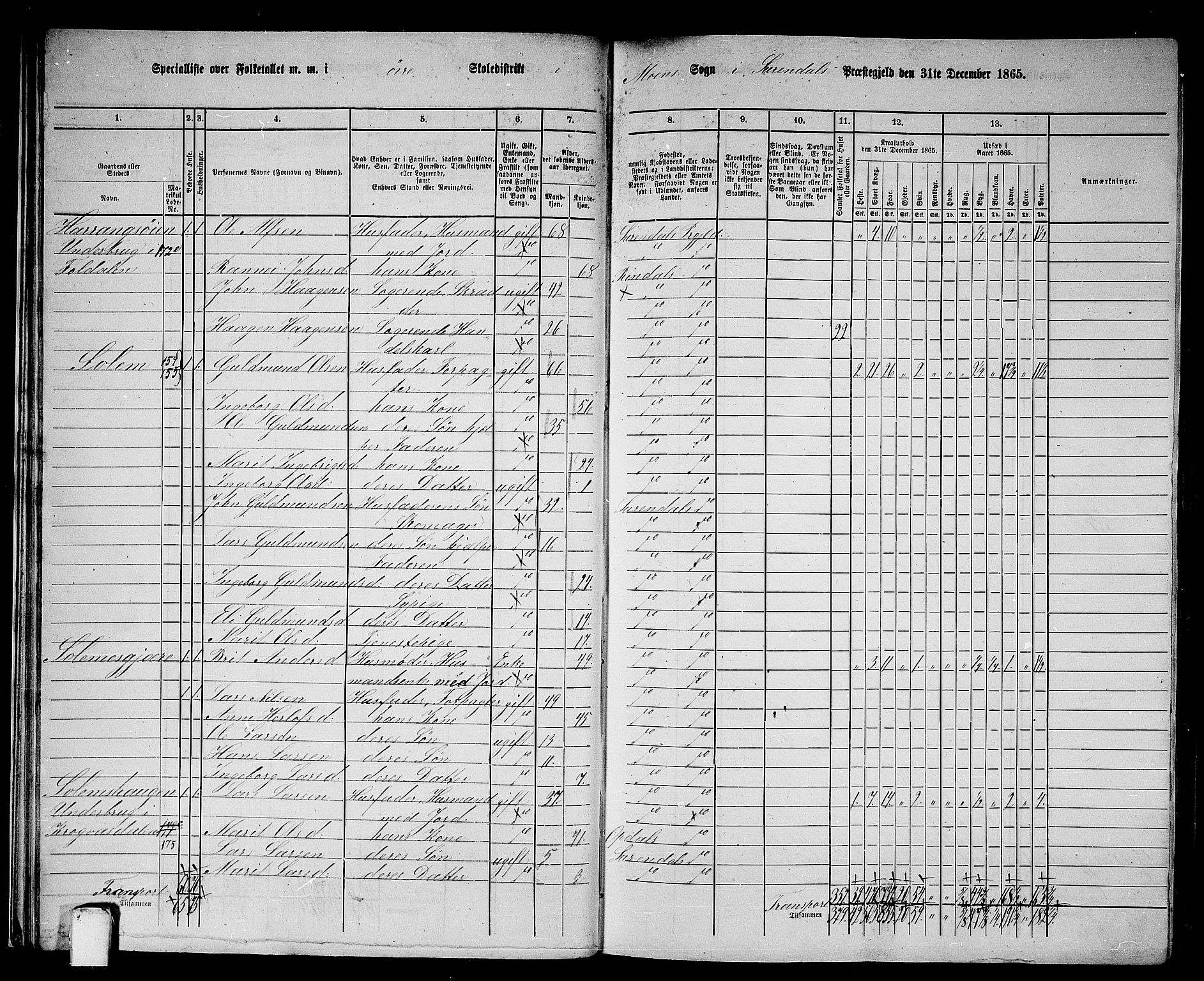 RA, 1865 census for Surnadal, 1865, p. 28