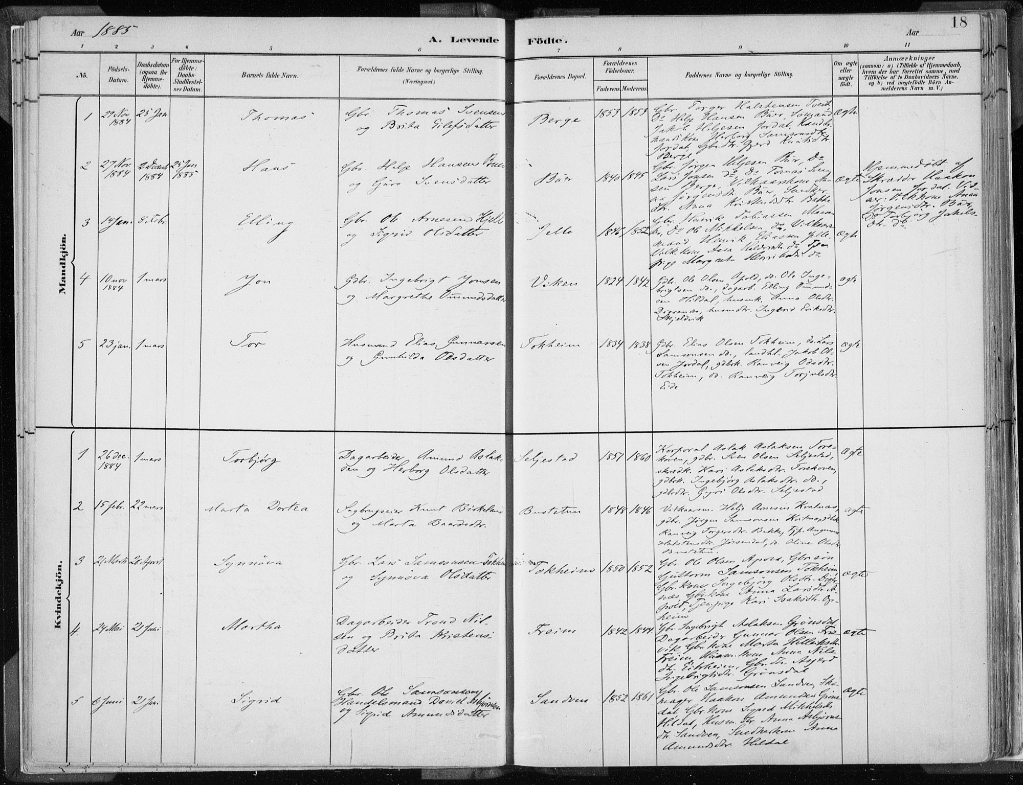 Odda Sokneprestembete, SAB/A-77201/H/Haa: Parish register (official) no. A  3, 1882-1913, p. 18