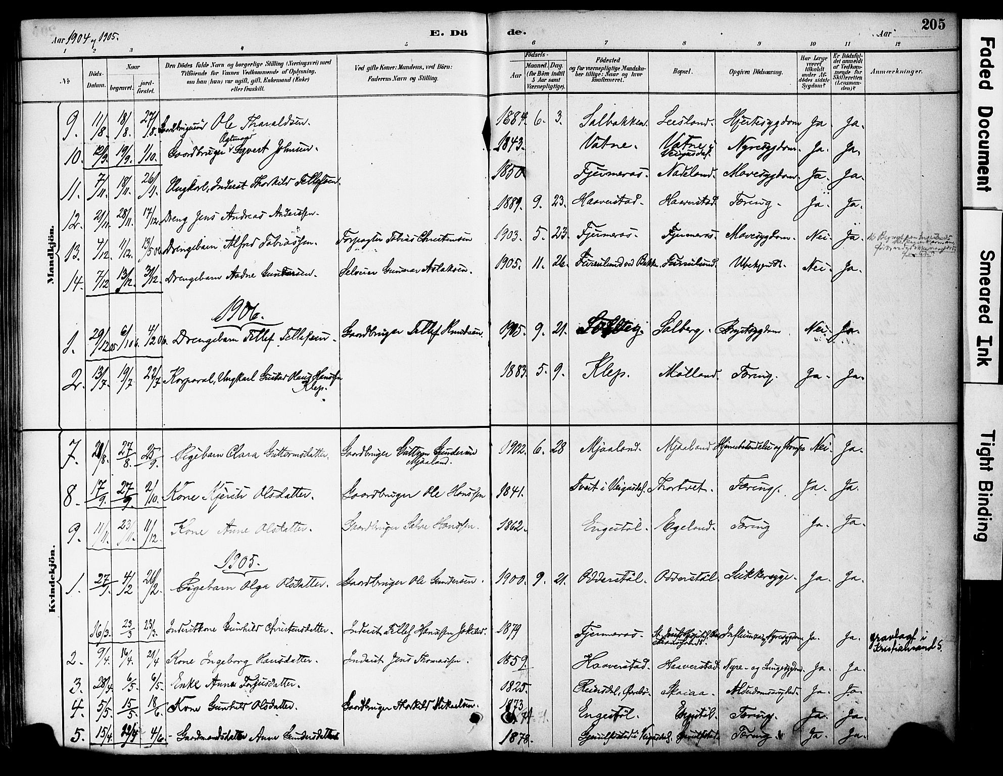 Evje sokneprestkontor, AV/SAK-1111-0008/F/Fa/Fac/L0003: Parish register (official) no. A 3, 1884-1909, p. 205