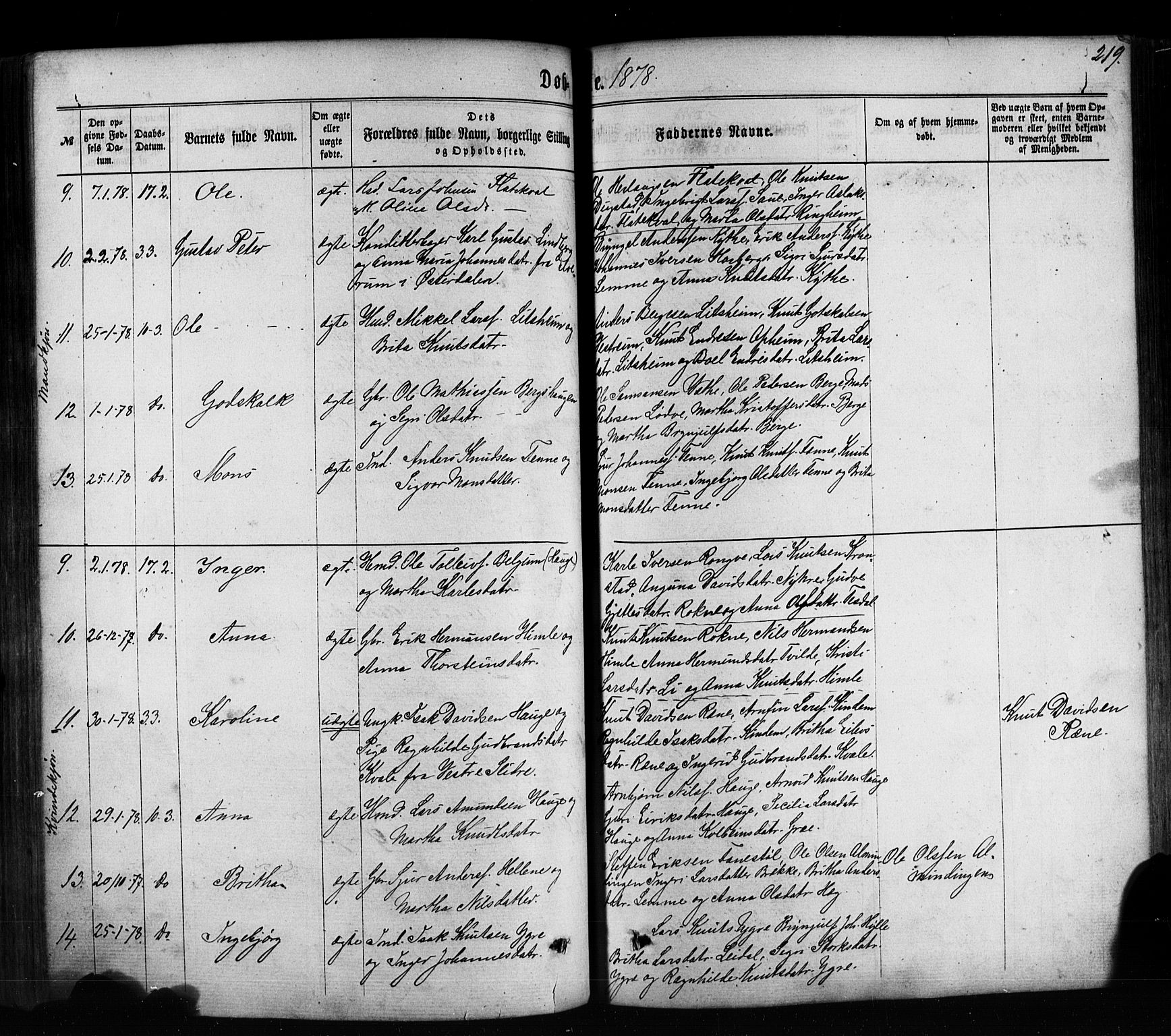 Voss sokneprestembete, SAB/A-79001/H/Haa: Parish register (official) no. A 17, 1863-1886, p. 219