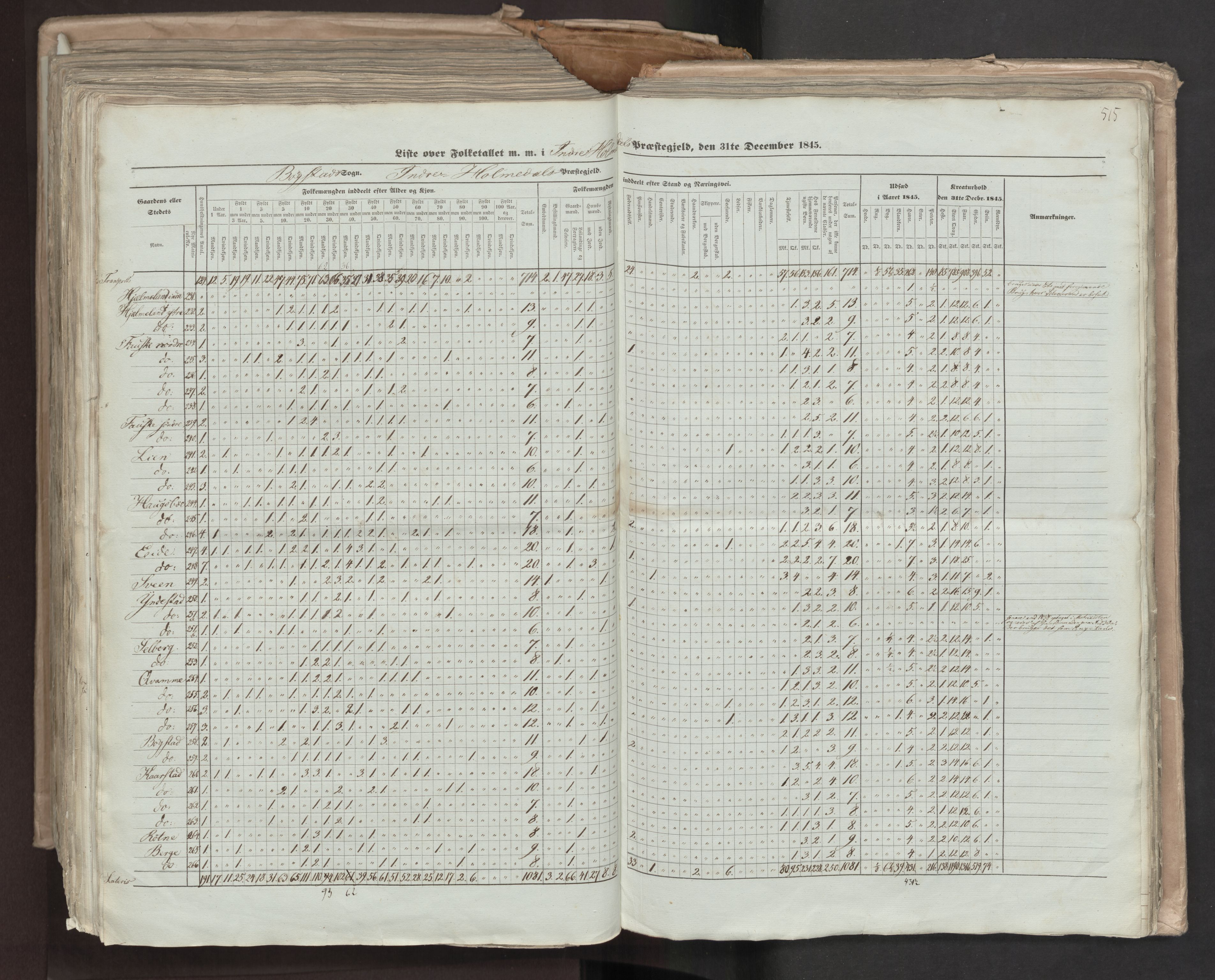 RA, Census 1845, vol. 7: Søndre Bergenhus amt og Nordre Bergenhus amt, 1845, p. 515