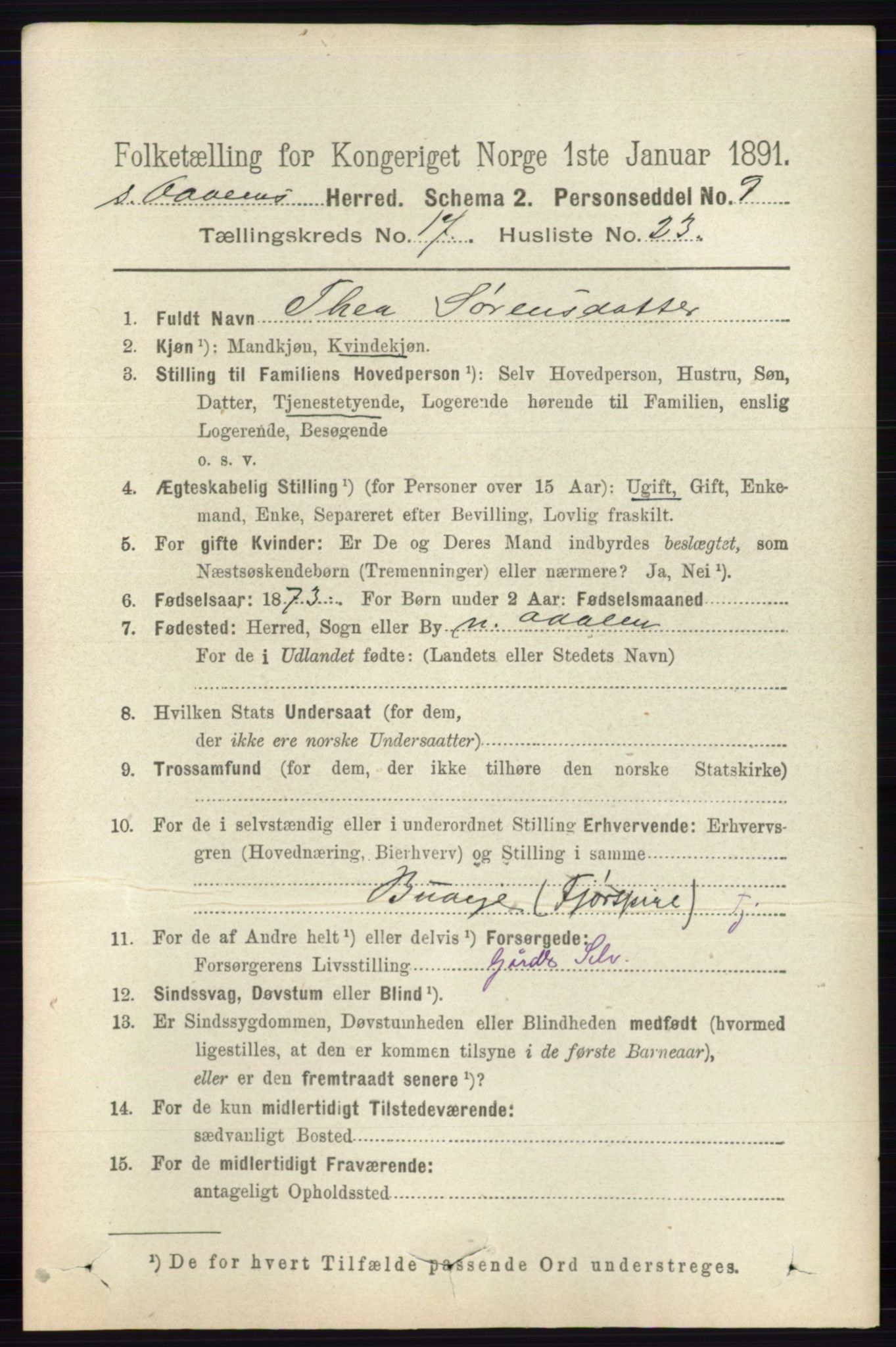 RA, 1891 census for 0419 Sør-Odal, 1891, p. 7997