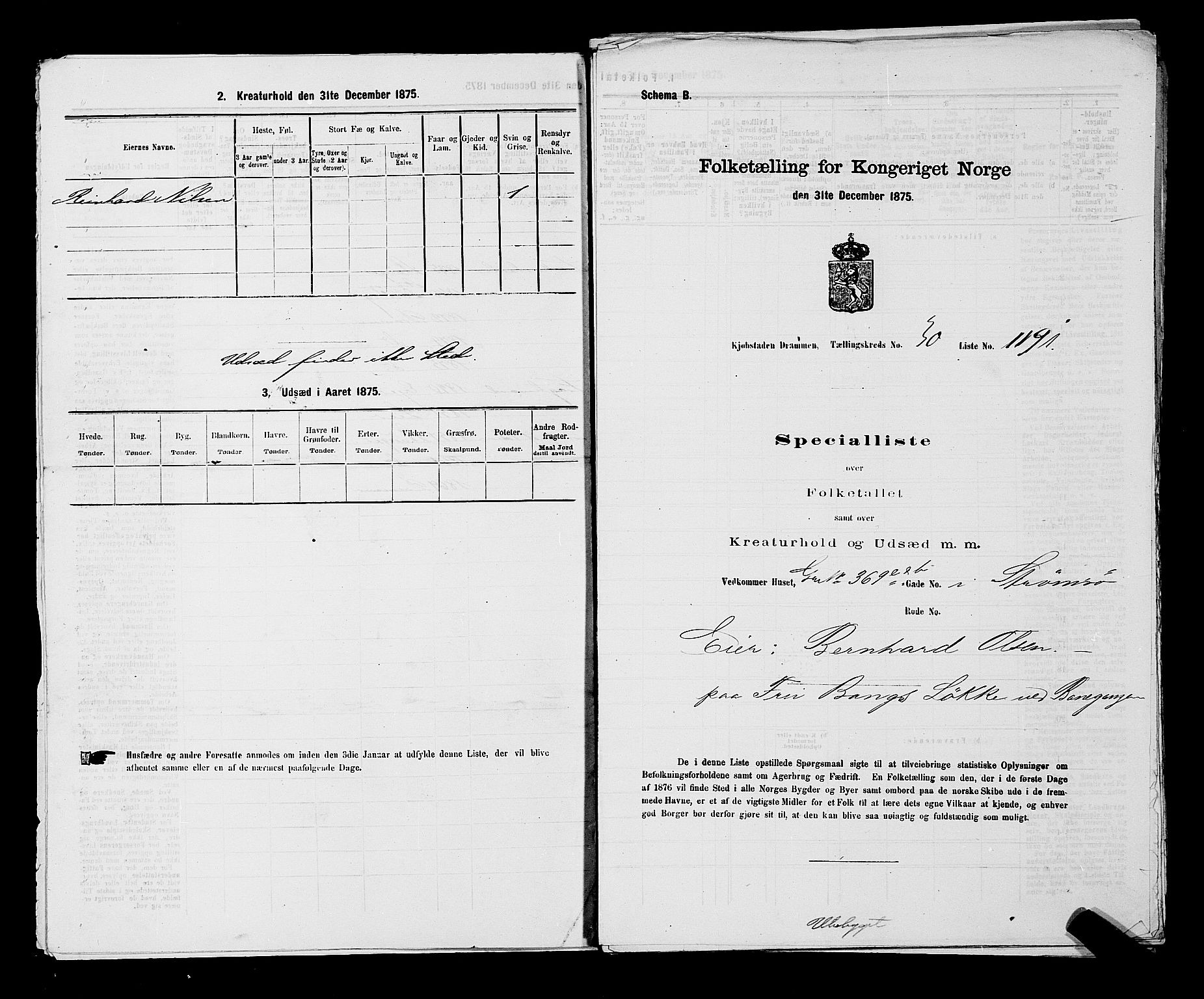 SAKO, 1875 census for 0602 Drammen, 1875, p. 2783