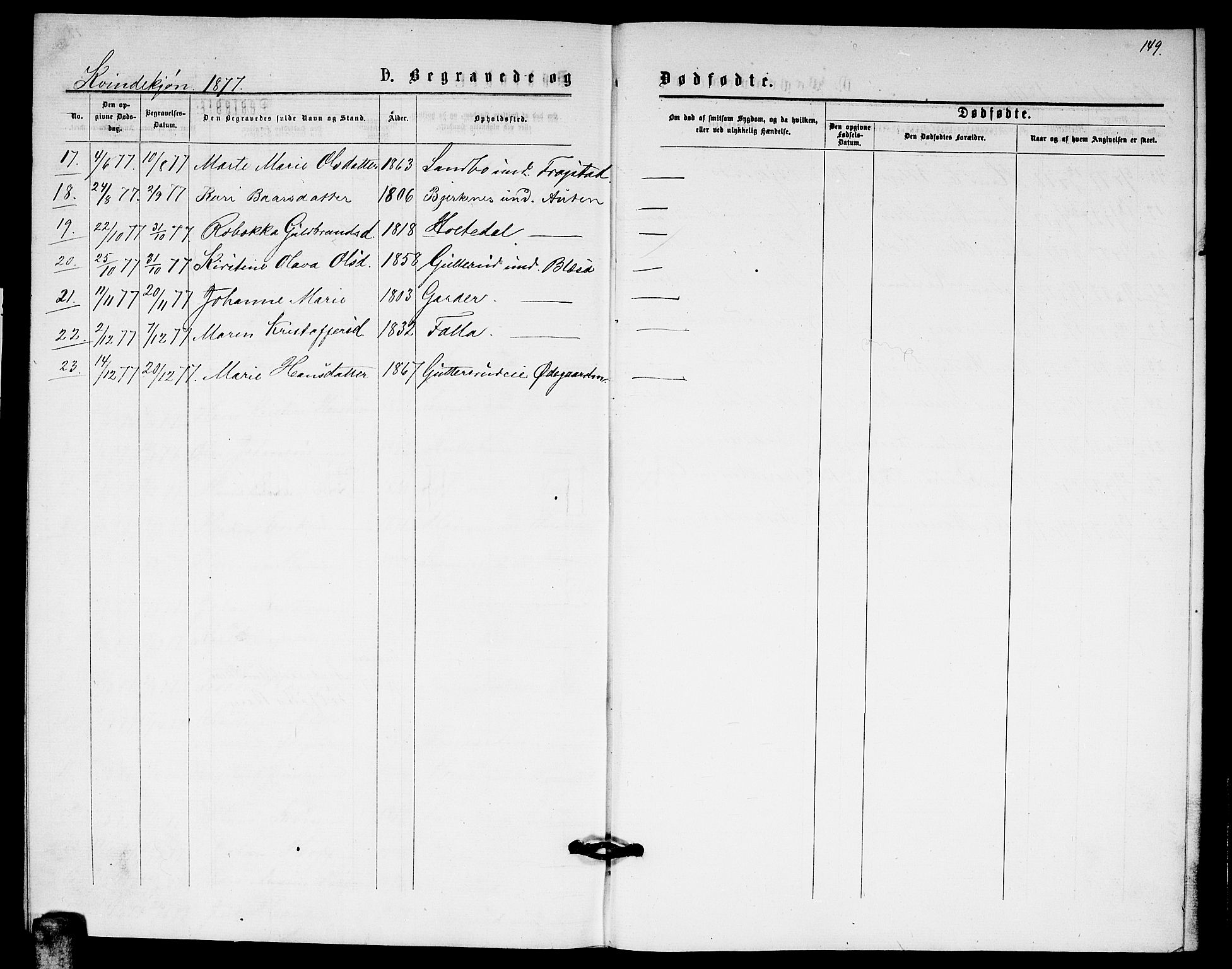 Fet prestekontor Kirkebøker, AV/SAO-A-10370a/G/Ga/L0005: Parish register (copy) no. I 5, 1875-1877, p. 149