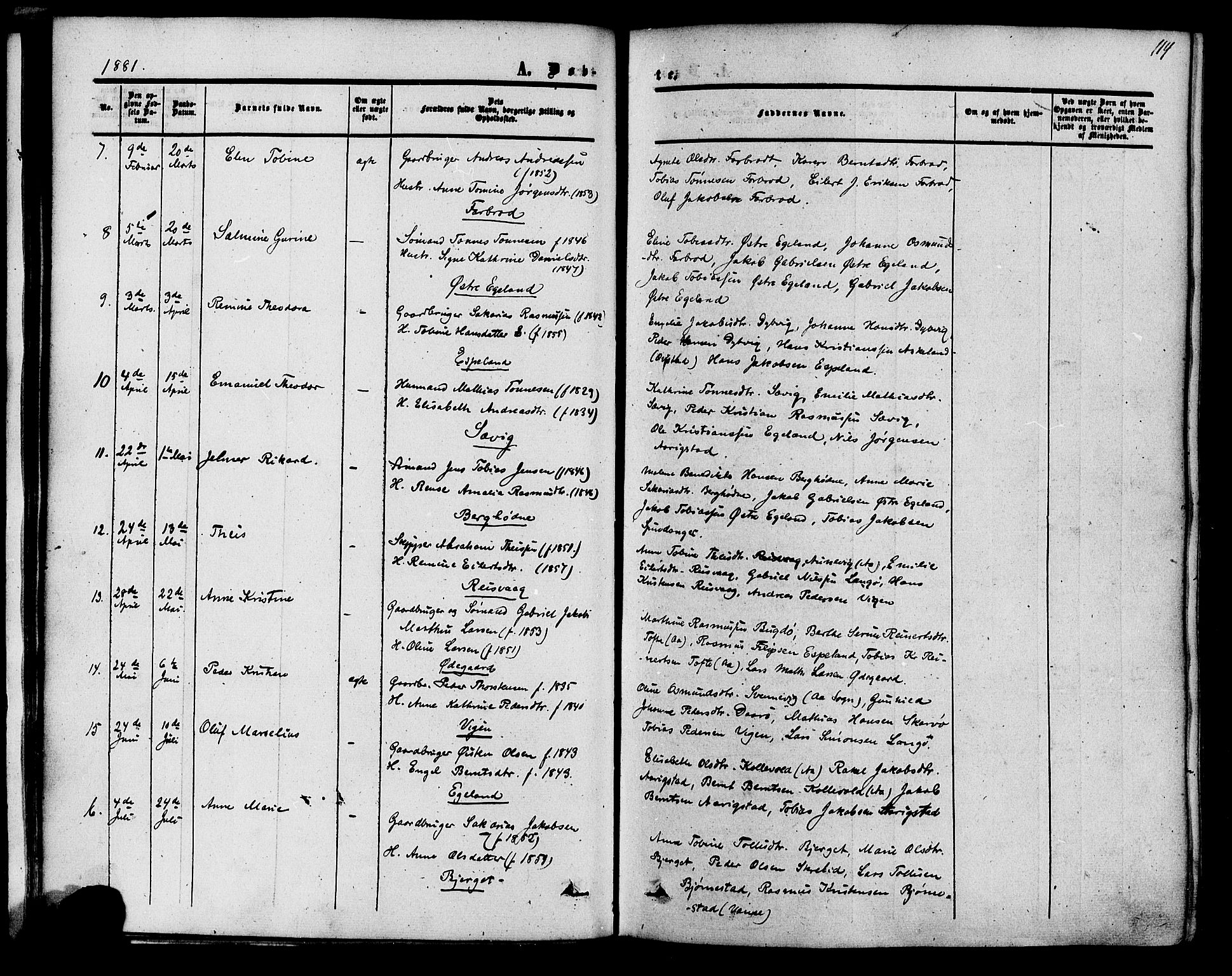 Herad sokneprestkontor, AV/SAK-1111-0018/F/Fa/Fab/L0004: Parish register (official) no. A 4, 1853-1885, p. 114