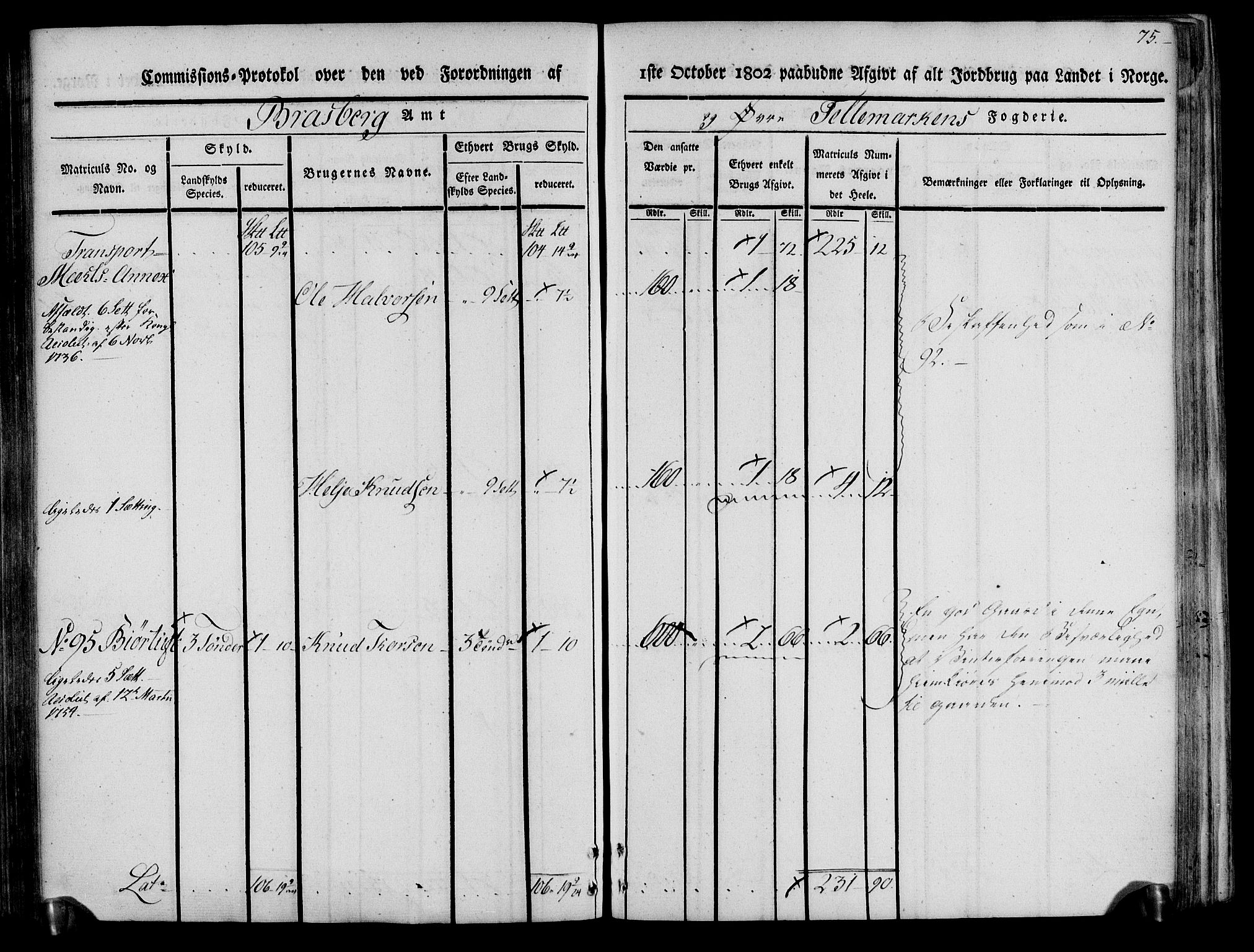 Rentekammeret inntil 1814, Realistisk ordnet avdeling, AV/RA-EA-4070/N/Ne/Nea/L0074: Øvre Telemarken fogderi. Kommisjonsprotokoll for fogderiets østre del - Tinn, Hjartdal og Seljord prestegjeld., 1803, p. 75