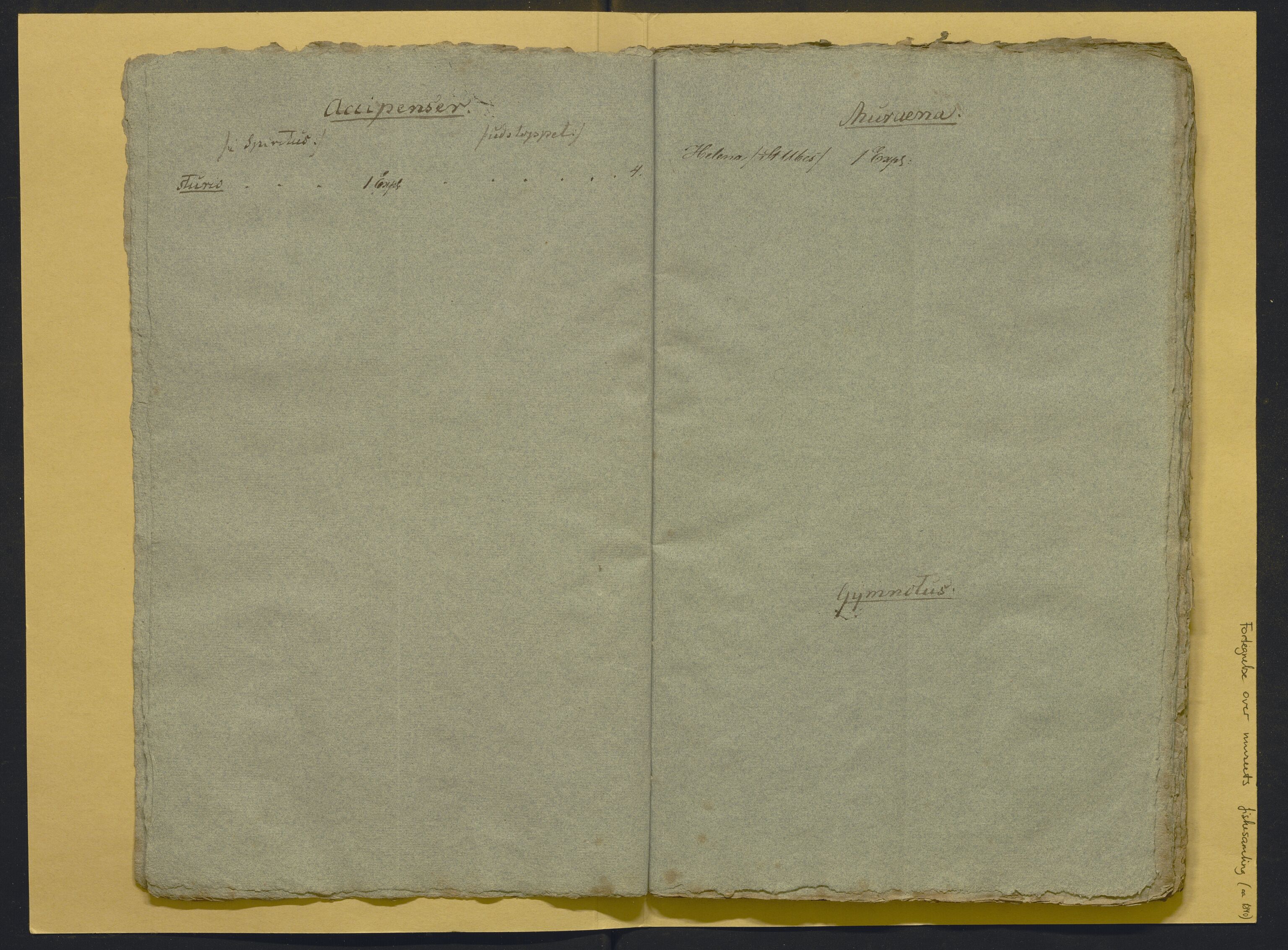 Bergens Museum, AV/SAB-A-17301/02/F/L0001: Kataloger over gjenstander og pergamentbrev , 1825-1880, p. 494