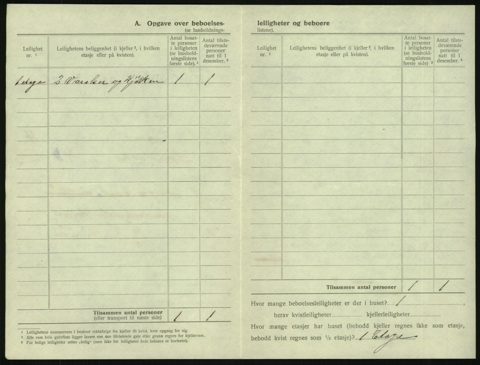 SAKO, 1920 census for Larvik, 1920, p. 1041