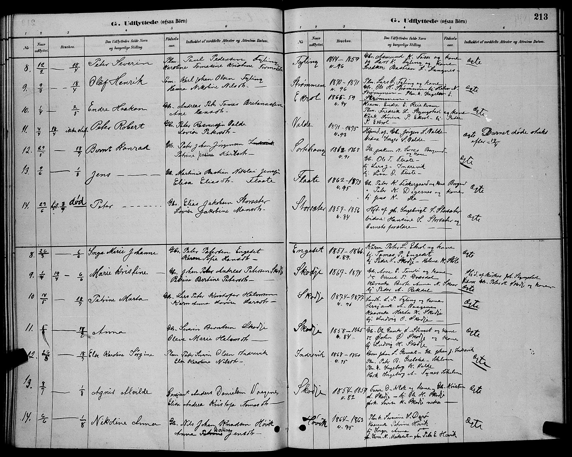 Ministerialprotokoller, klokkerbøker og fødselsregistre - Møre og Romsdal, AV/SAT-A-1454/524/L0365: Parish register (copy) no. 524C06, 1880-1899, p. 213