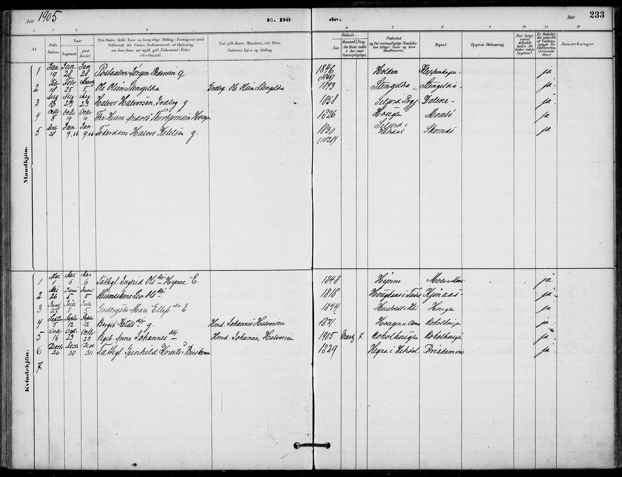 Hjartdal kirkebøker, SAKO/A-270/F/Fb/L0002: Parish register (official) no. II 2, 1880-1932, p. 233