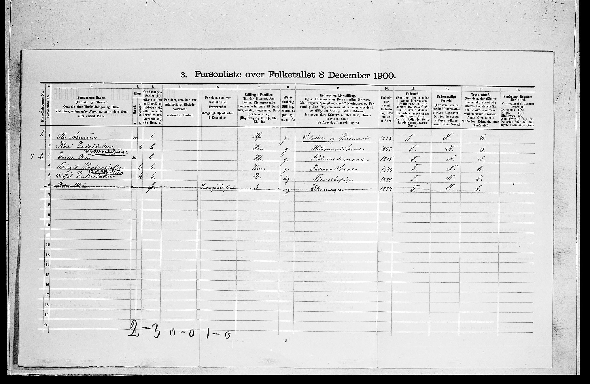 RA, 1900 census for Ål, 1900, p. 494