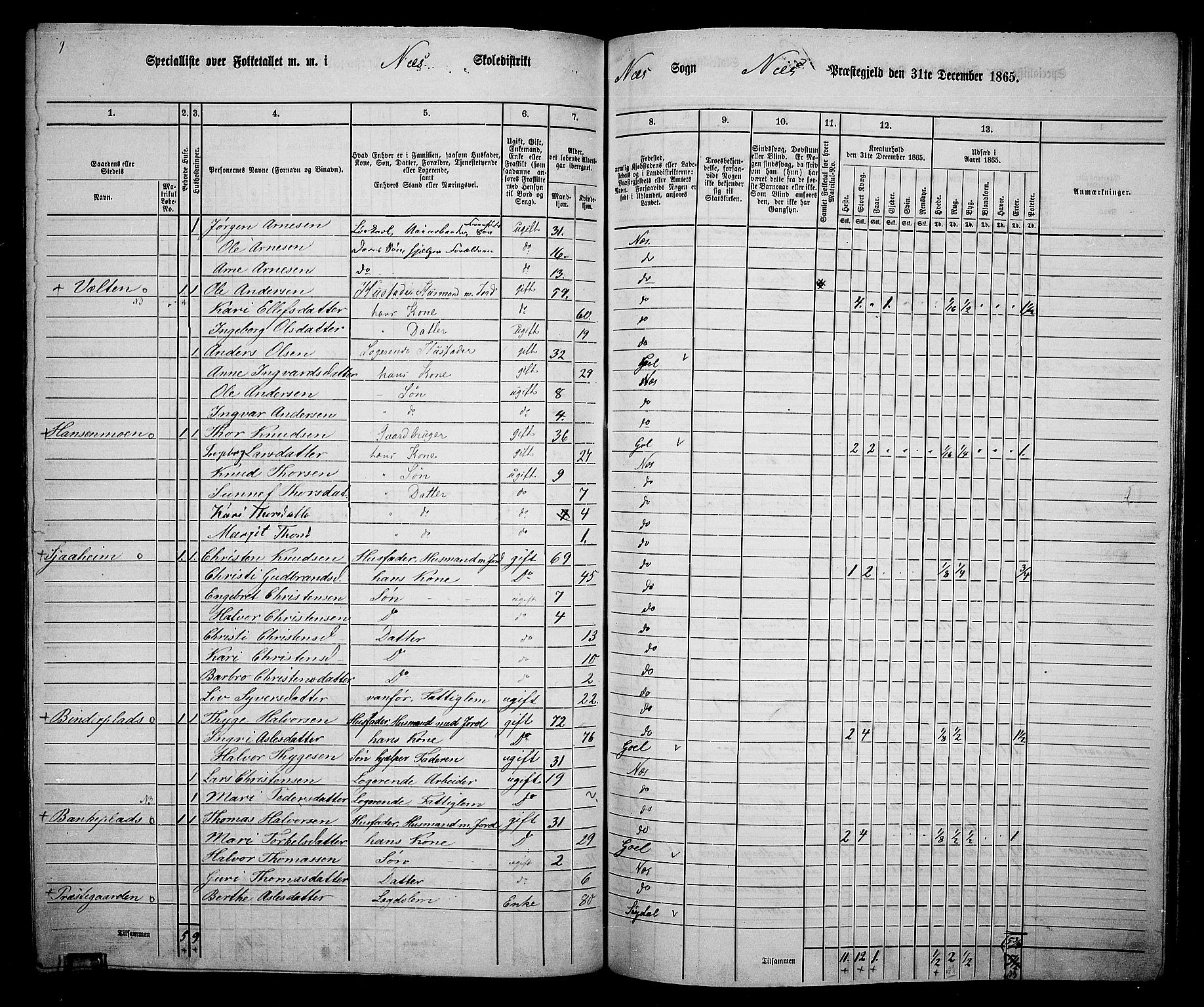 RA, 1865 census for Nes, 1865, p. 170