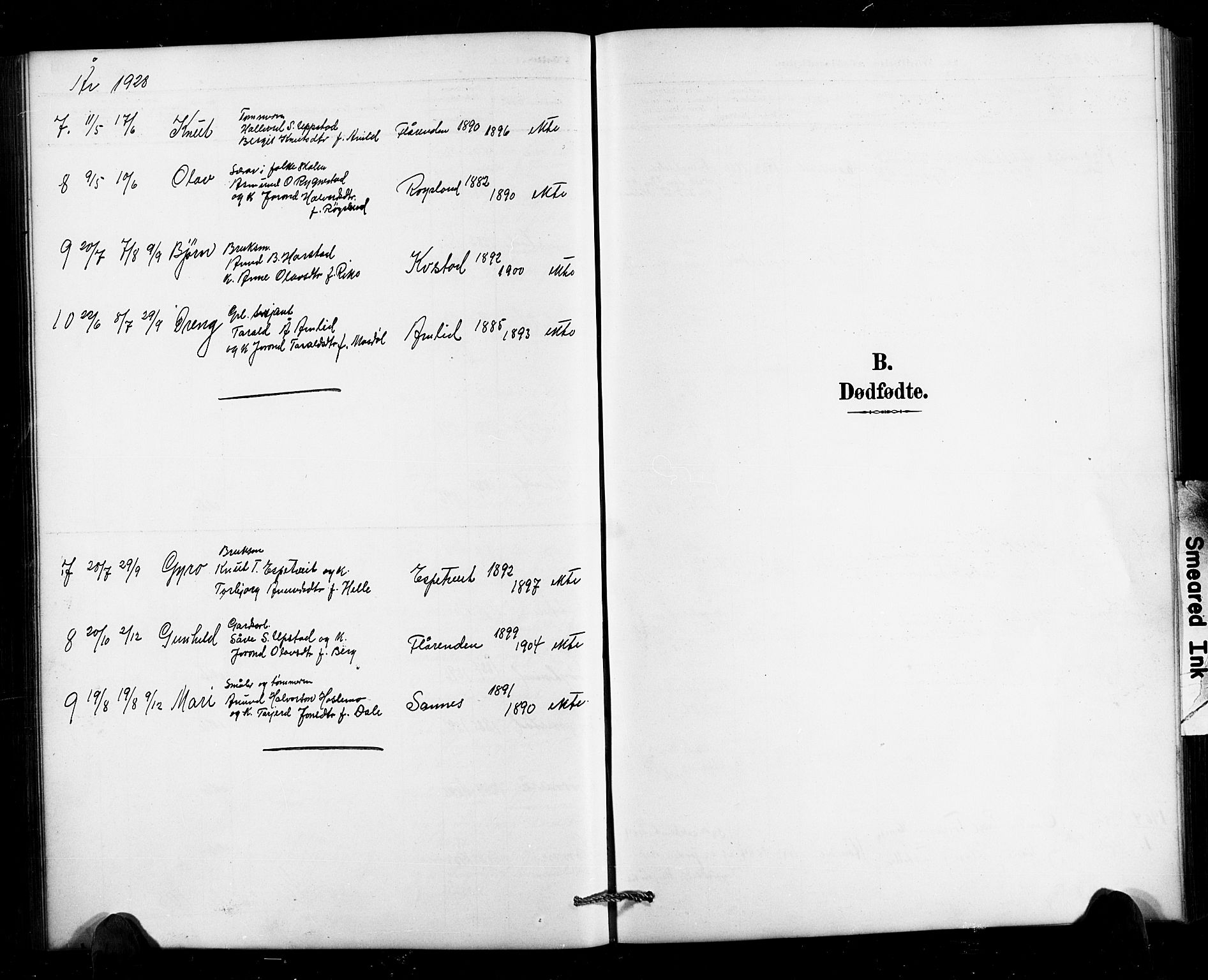 Valle sokneprestkontor, SAK/1111-0044/F/Fb/Fbc/L0004: Parish register (copy) no. B 4, 1890-1928, p. 101b