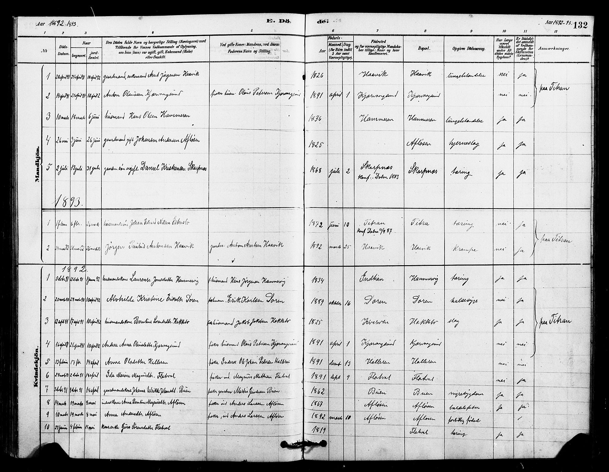 Ministerialprotokoller, klokkerbøker og fødselsregistre - Sør-Trøndelag, SAT/A-1456/641/L0595: Parish register (official) no. 641A01, 1882-1897, p. 132