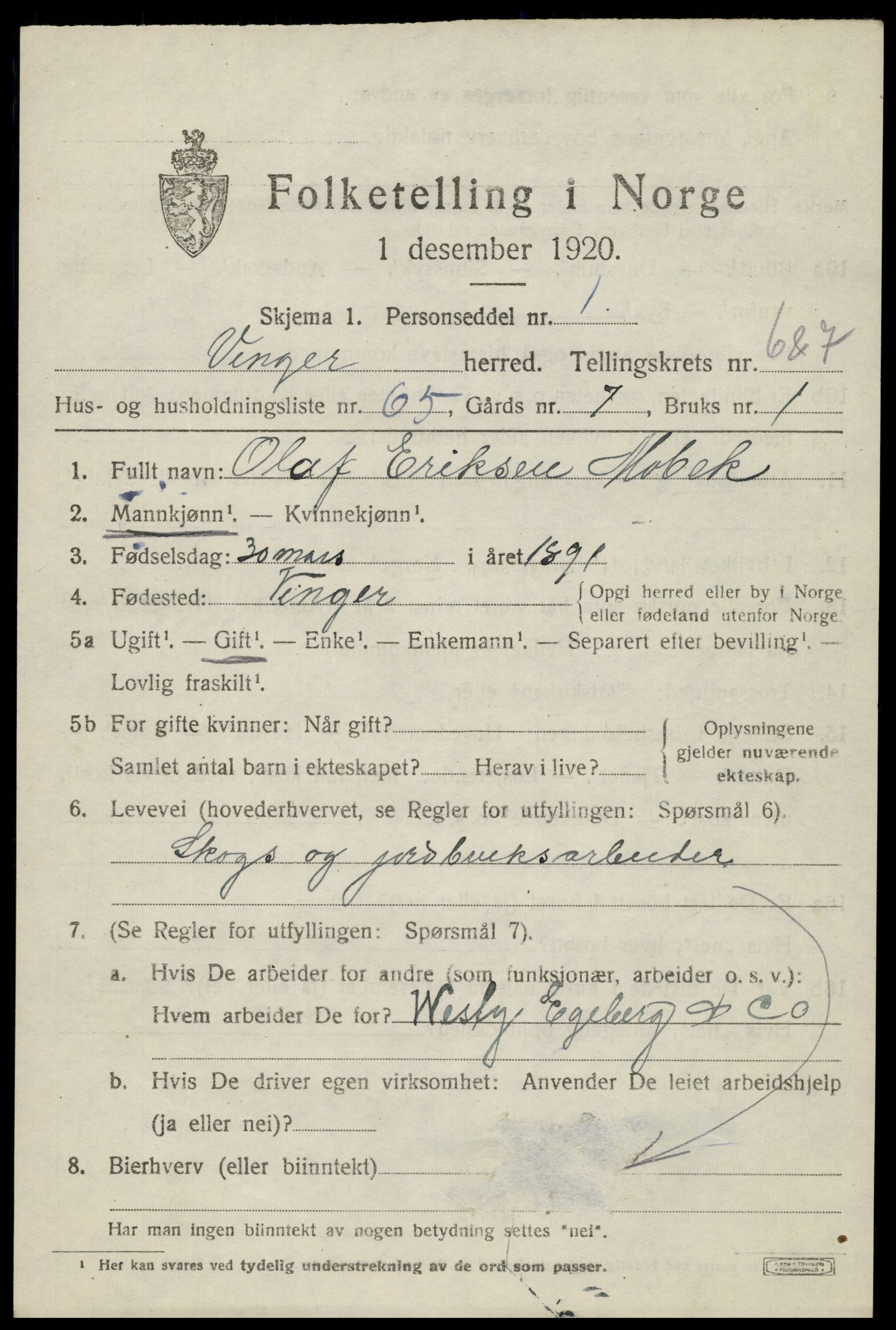 SAH, 1920 census for Vinger, 1920, p. 6904