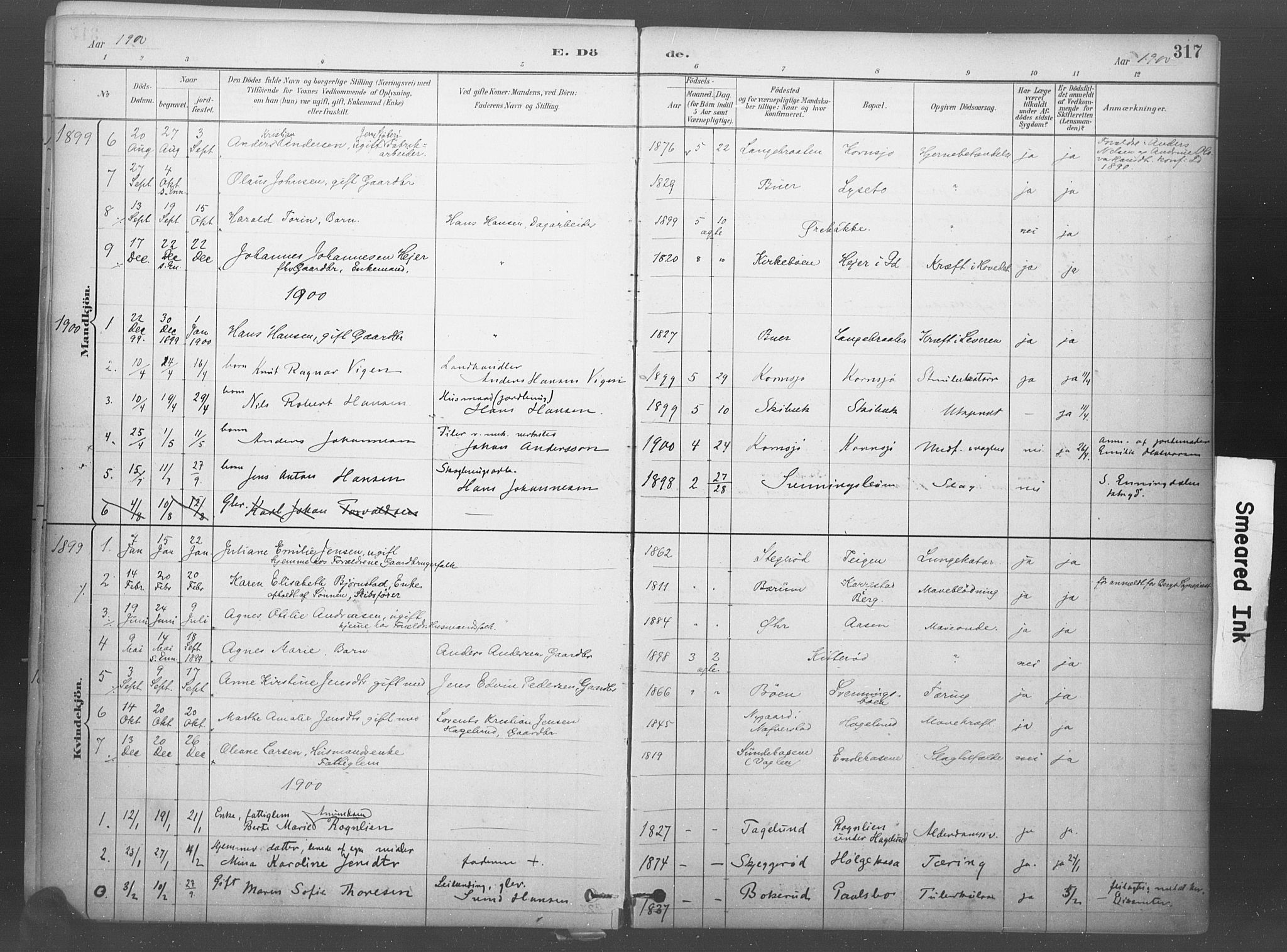 Idd prestekontor Kirkebøker, SAO/A-10911/F/Fb/L0002: Parish register (official) no. II 2, 1882-1923, p. 317