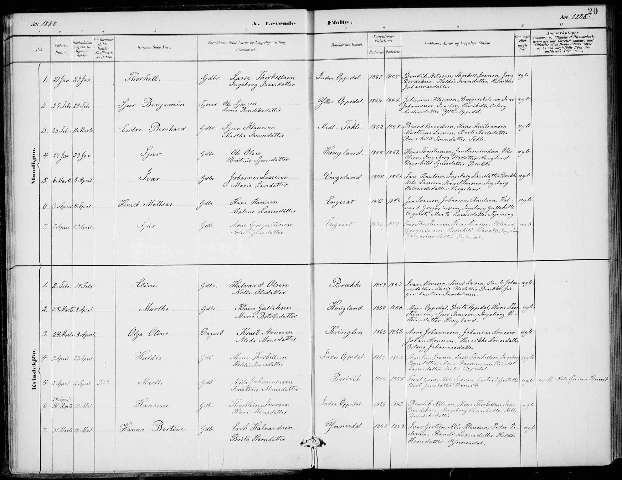 Gulen sokneprestembete, AV/SAB-A-80201/H/Haa/Haac/L0002: Parish register (official) no. C  2, 1882-1914, p. 20