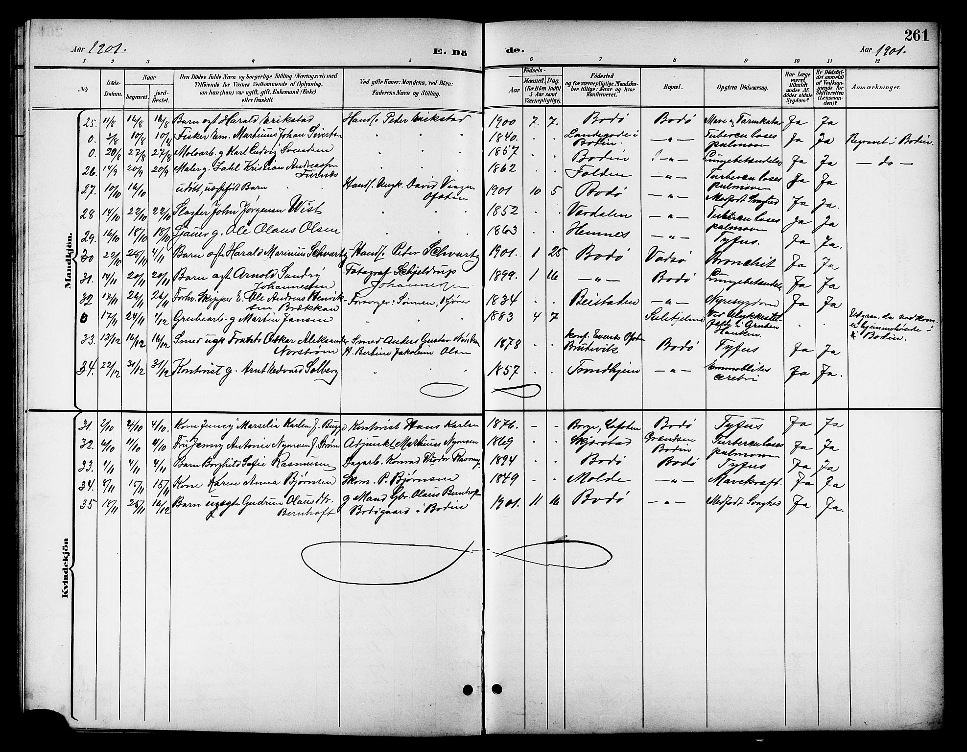 Ministerialprotokoller, klokkerbøker og fødselsregistre - Nordland, AV/SAT-A-1459/801/L0033: Parish register (copy) no. 801C08, 1898-1910, p. 261