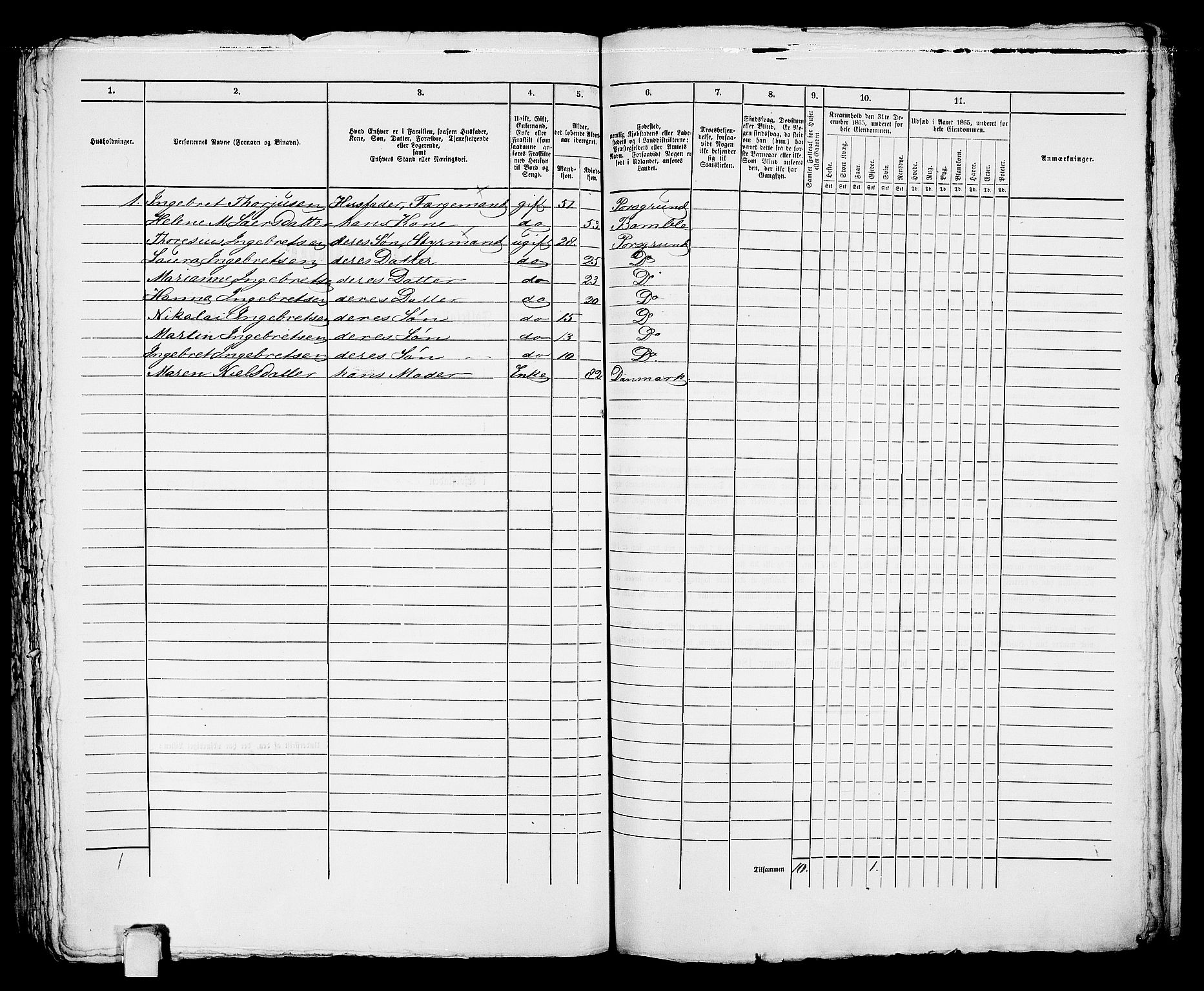 RA, 1865 census for Porsgrunn, 1865, p. 377