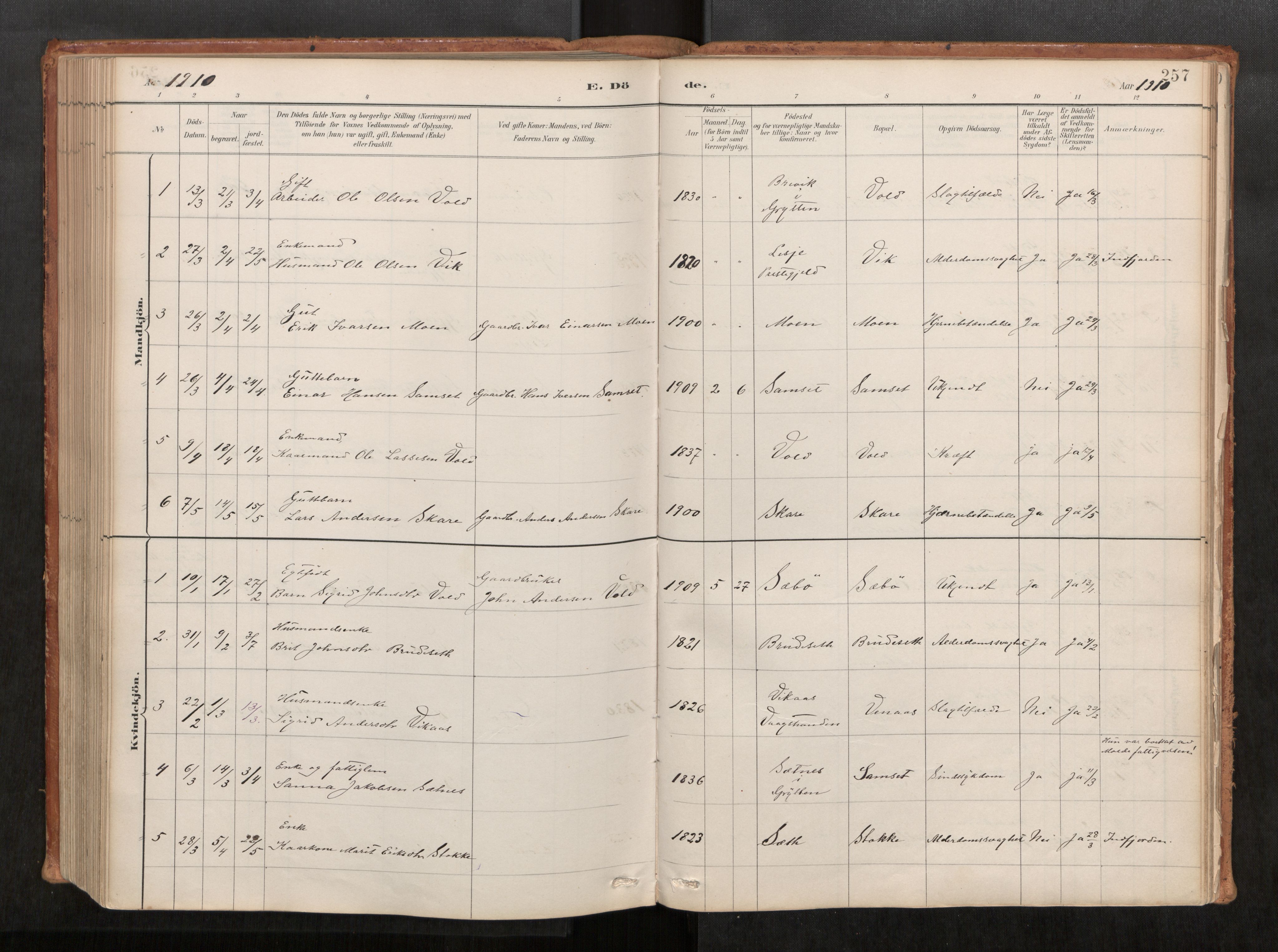 Ministerialprotokoller, klokkerbøker og fødselsregistre - Møre og Romsdal, AV/SAT-A-1454/543/L0568: Parish register (official) no. 543A03, 1885-1915, p. 257