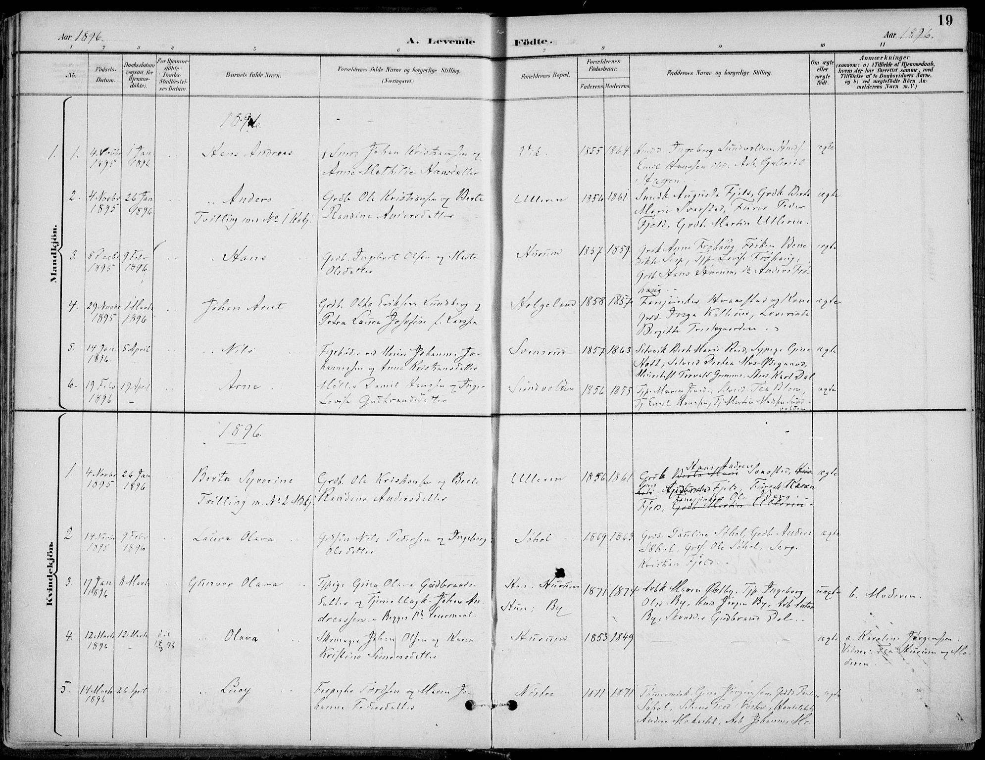 Hole kirkebøker, AV/SAKO-A-228/F/Fa/L0009: Parish register (official) no. I 9, 1892-1907, p. 19