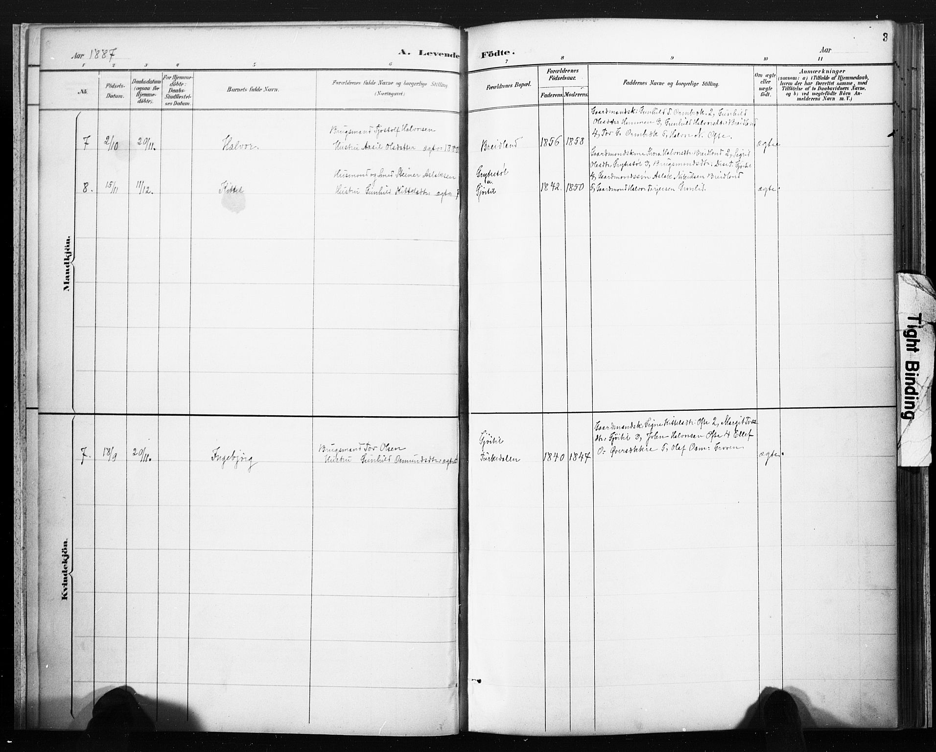 Lårdal kirkebøker, SAKO/A-284/F/Fc/L0002: Parish register (official) no. III 2, 1887-1906, p. 3