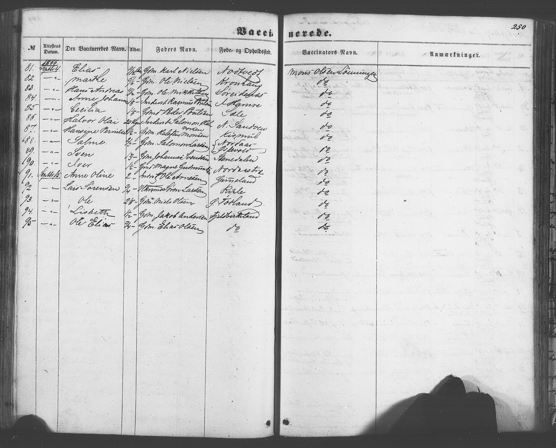 Fana Sokneprestembete, AV/SAB-A-75101/H/Haa/Haaa/L0012: Parish register (official) no. A 12, 1862-1878, p. 250