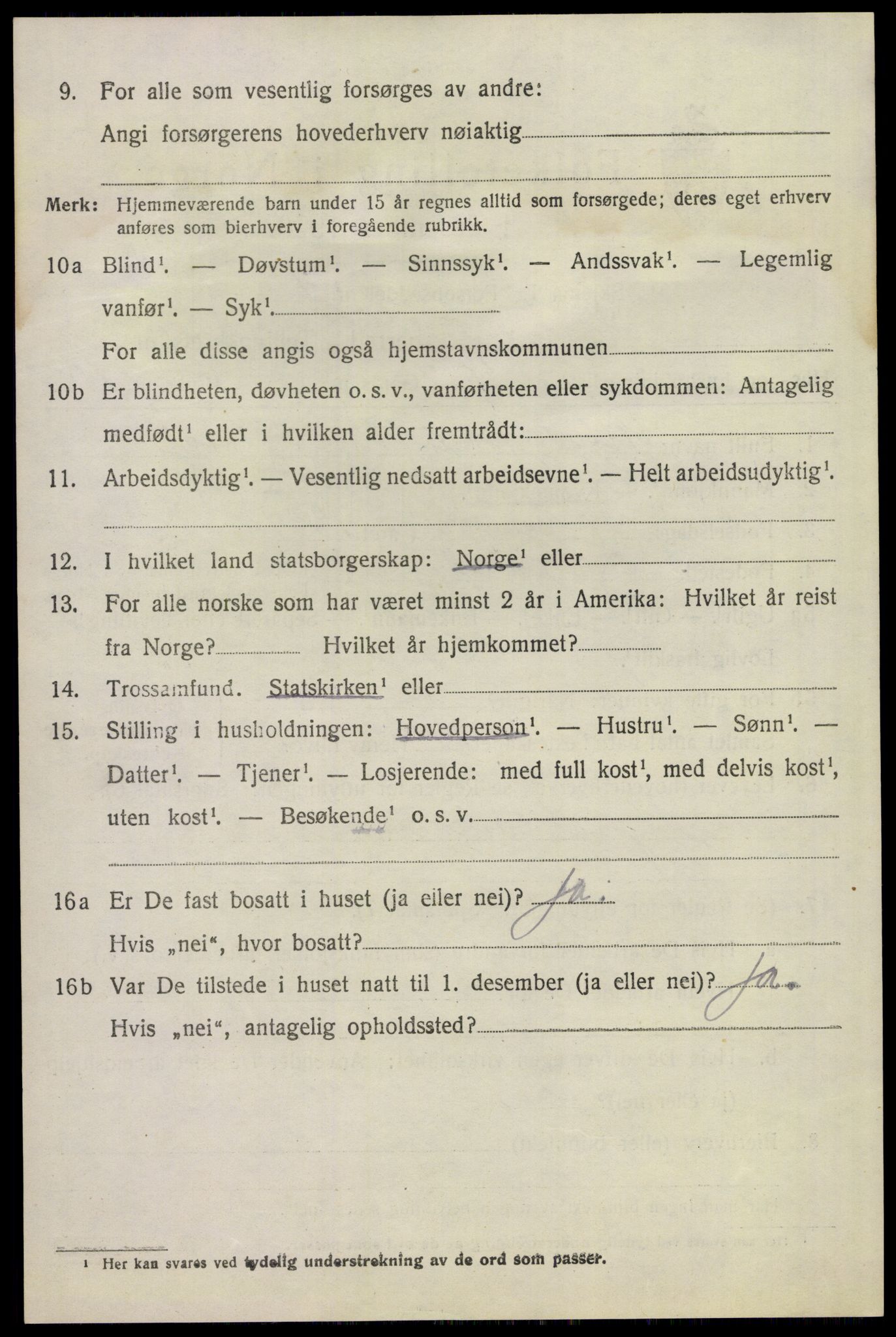 SAKO, 1920 census for Hovin, 1920, p. 1156